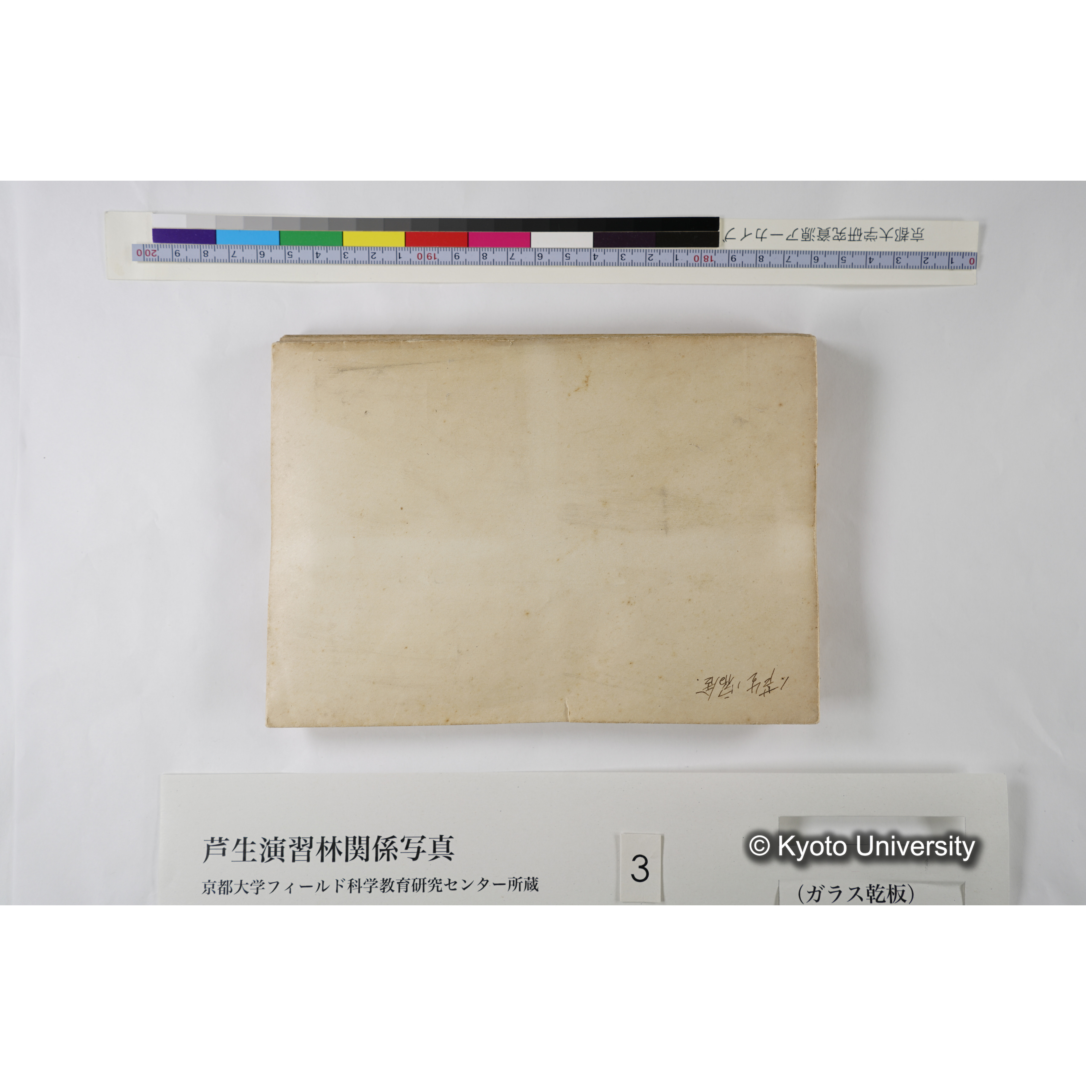 [一括(紐括り)]芦生-柴田1 (4)