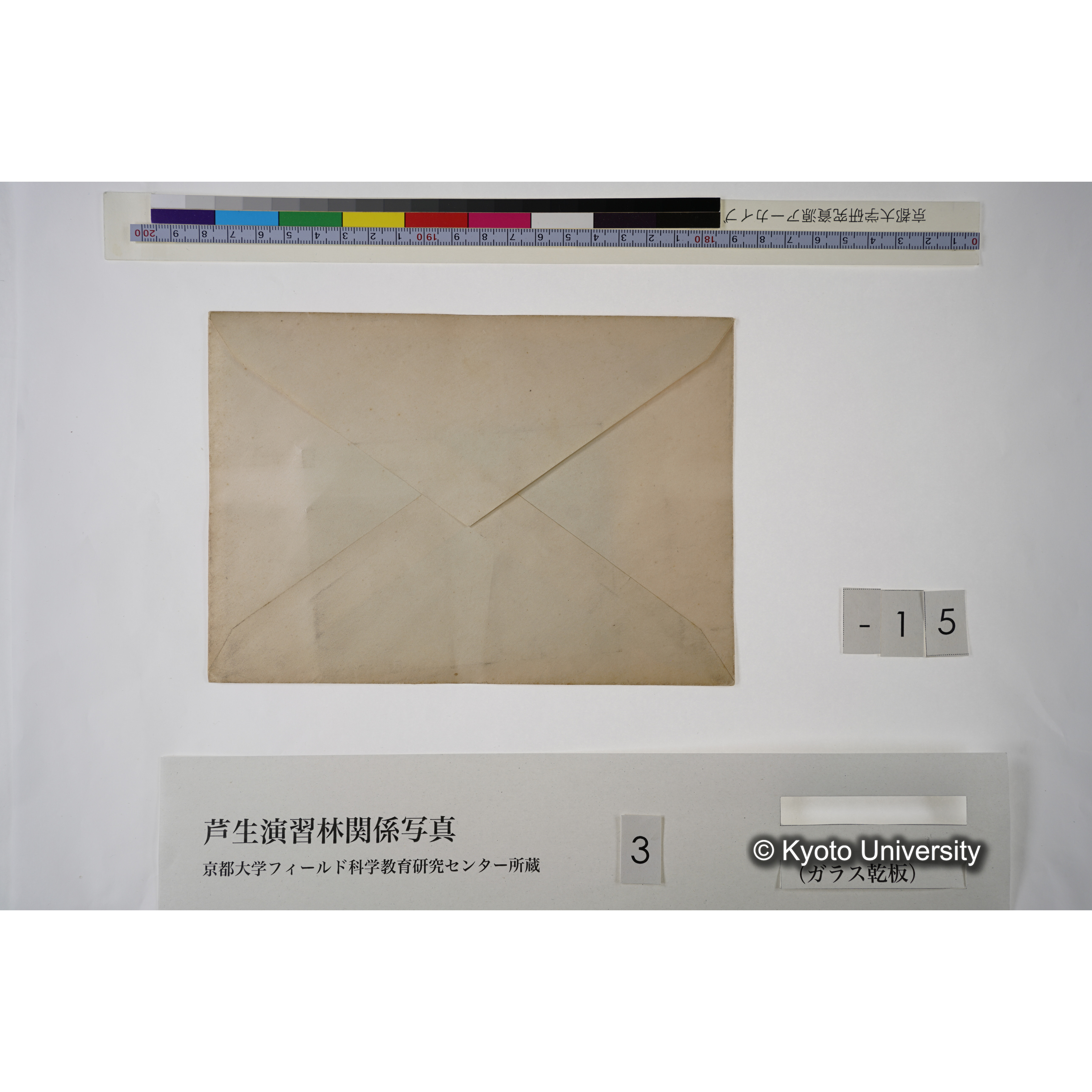 [一括(紐括り)]芦生-柴田1 (5)