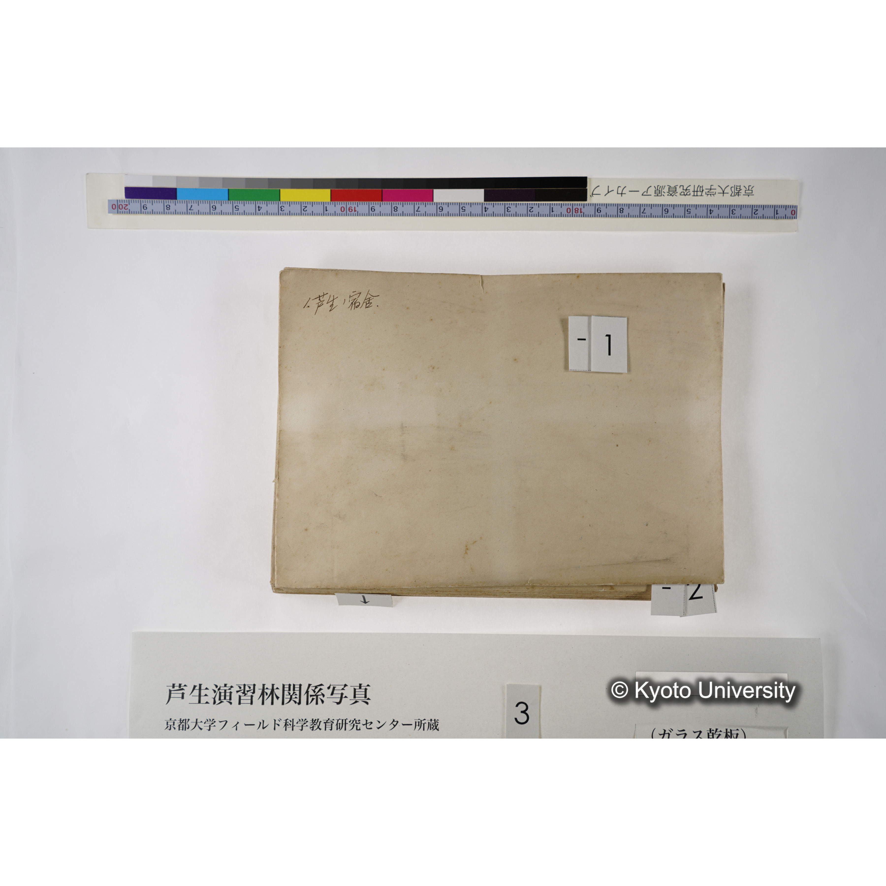 [一括(紐括り)]芦生-柴田1 (6)