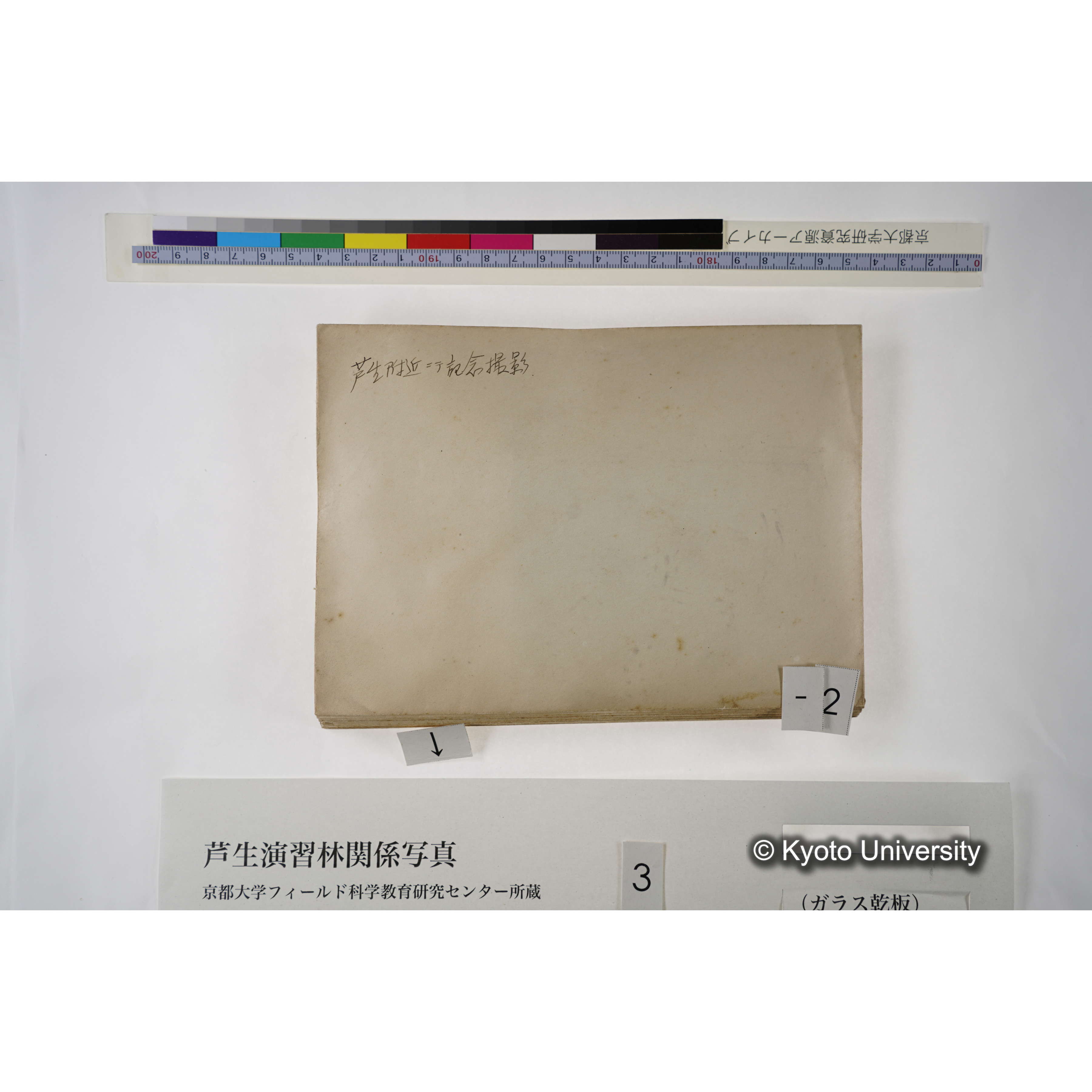 [一括(紐括り)]芦生-柴田1 (7)