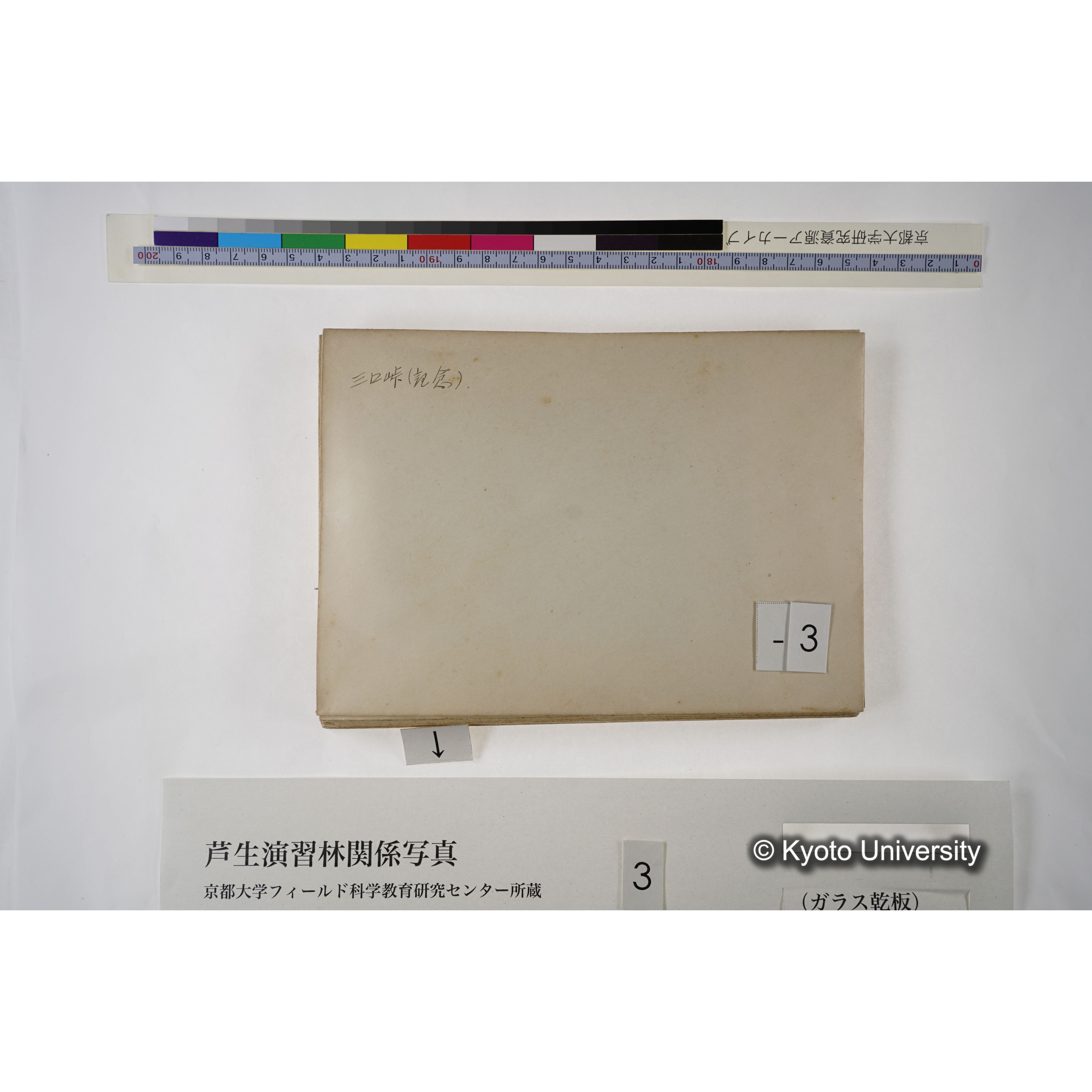 [一括(紐括り)]芦生-柴田1 (8)