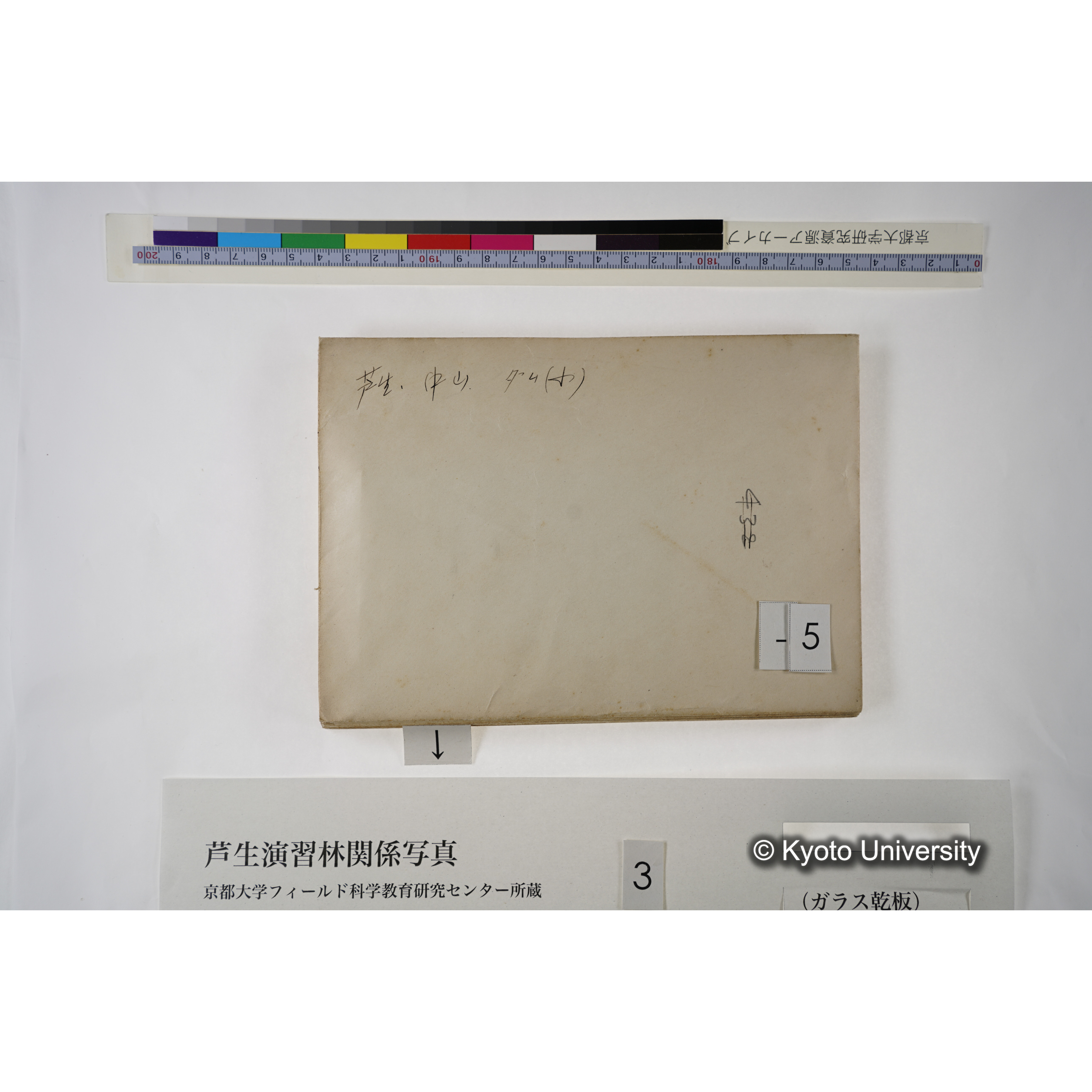 [一括(紐括り)]芦生-柴田1 (10)