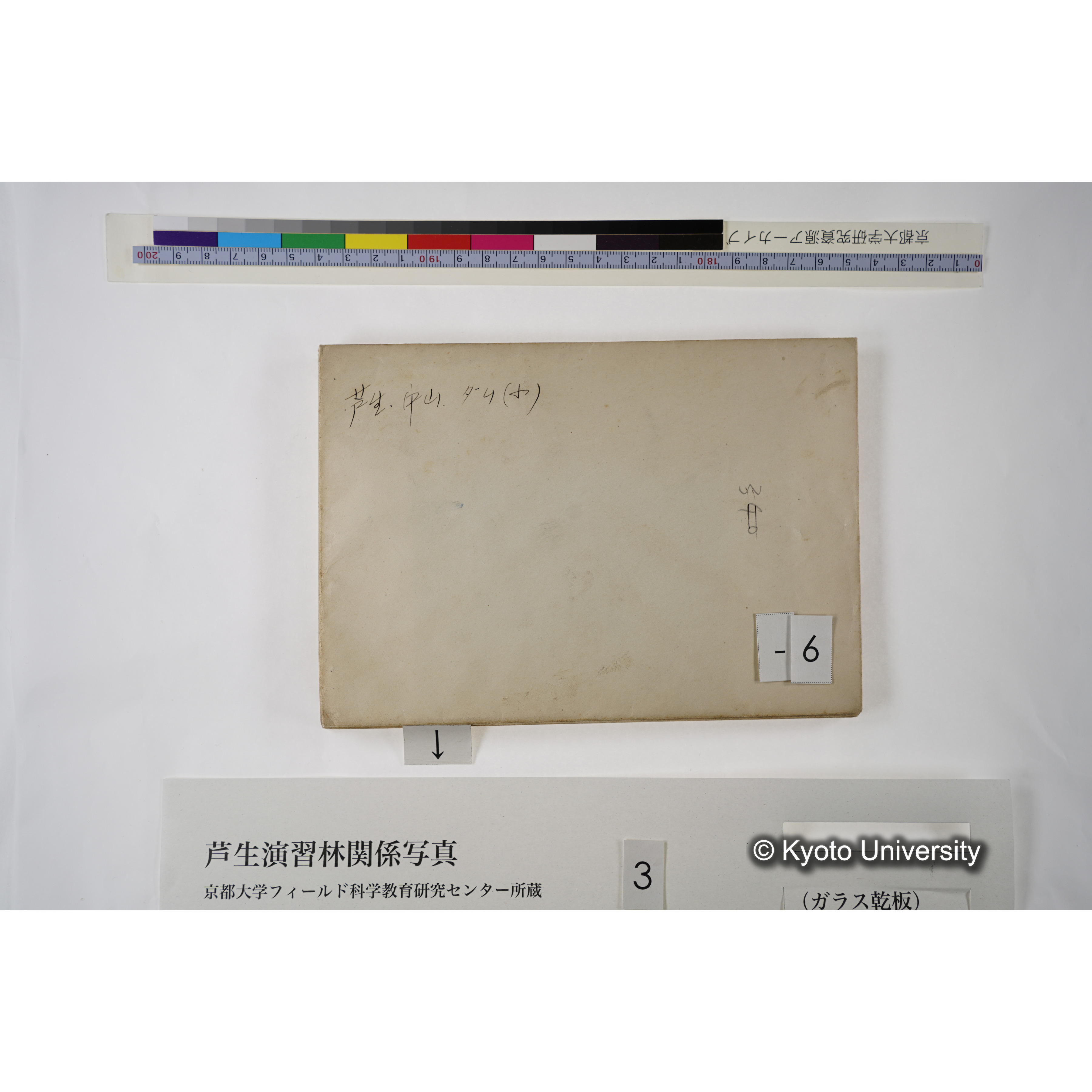 [一括(紐括り)]芦生-柴田1 (11)