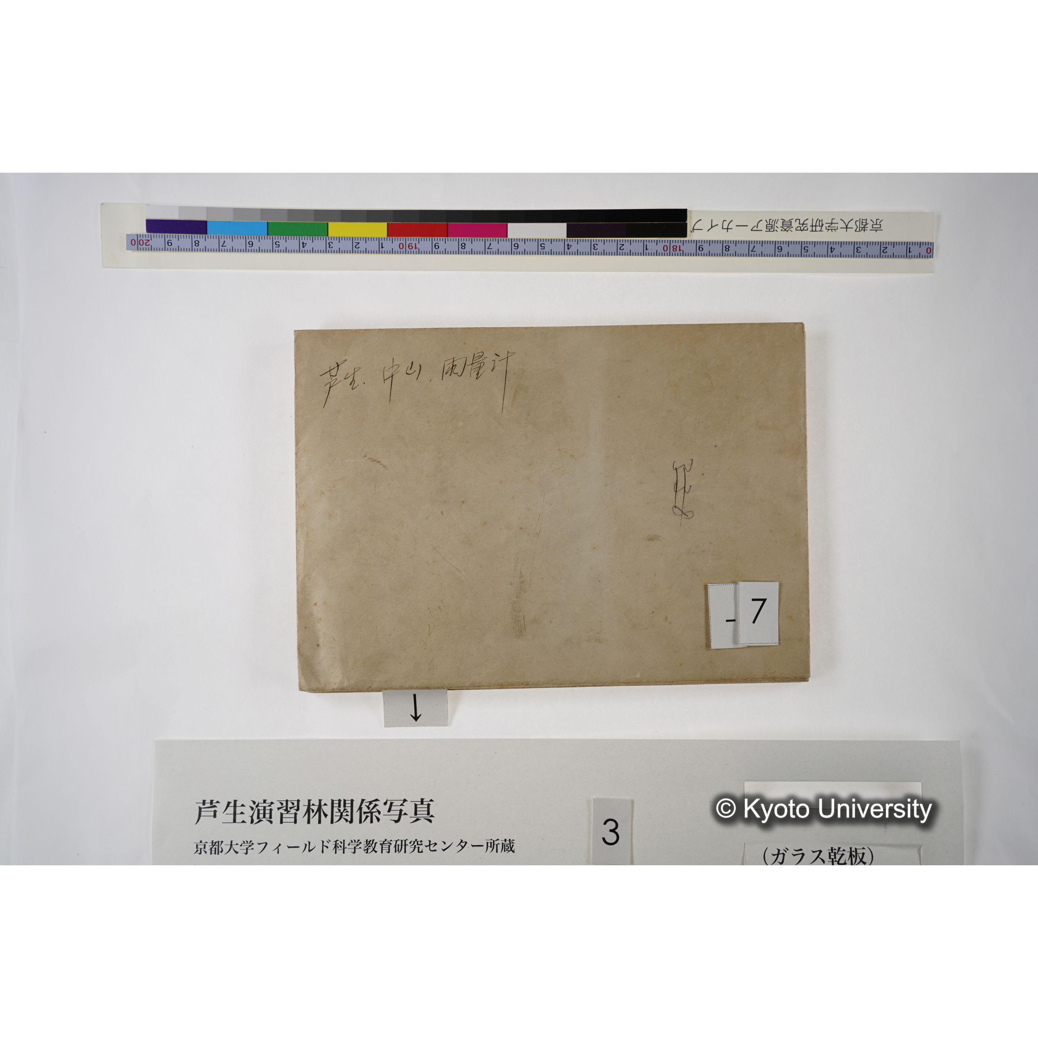 [一括(紐括り)]芦生-柴田1 (12)