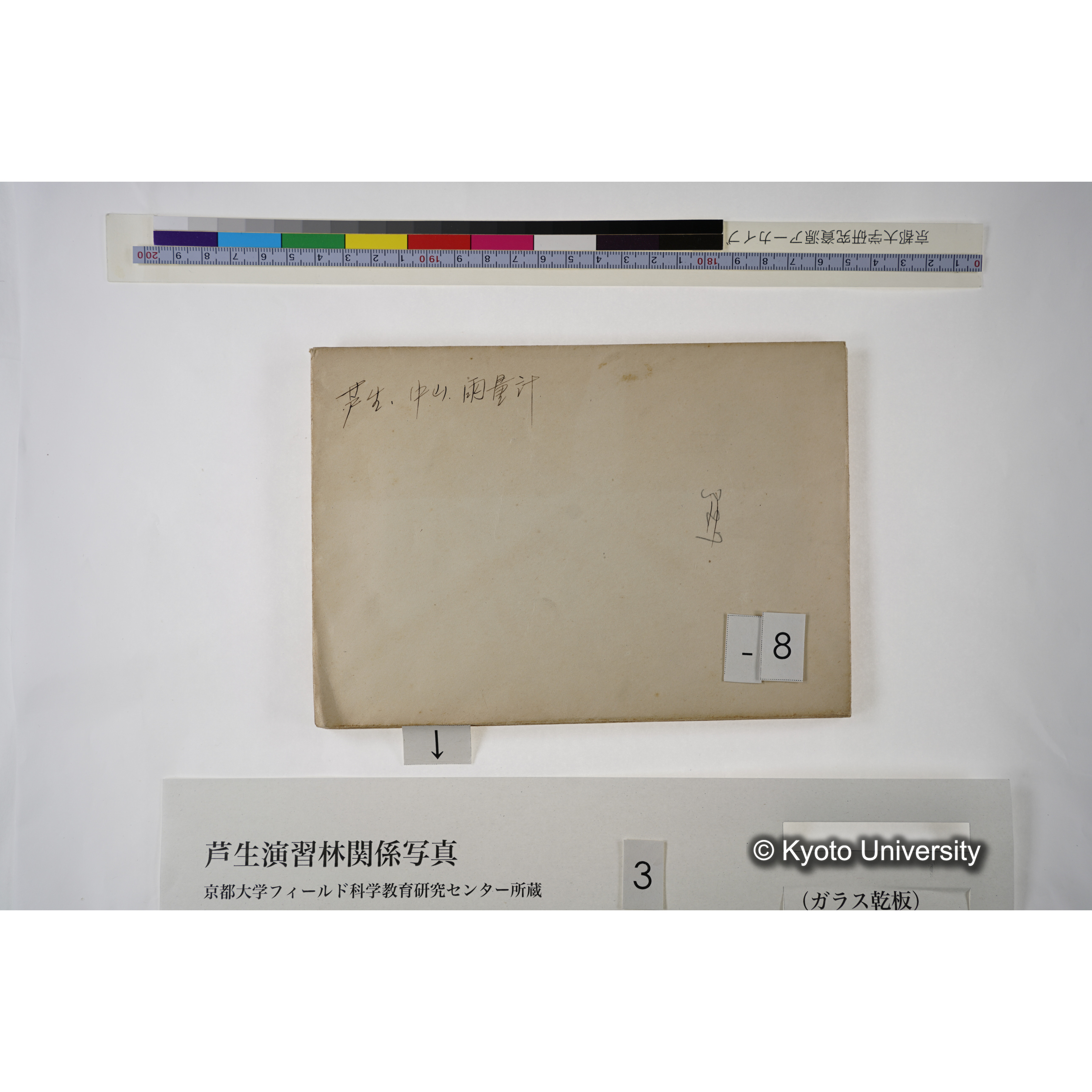 [一括(紐括り)]芦生-柴田1 (13)