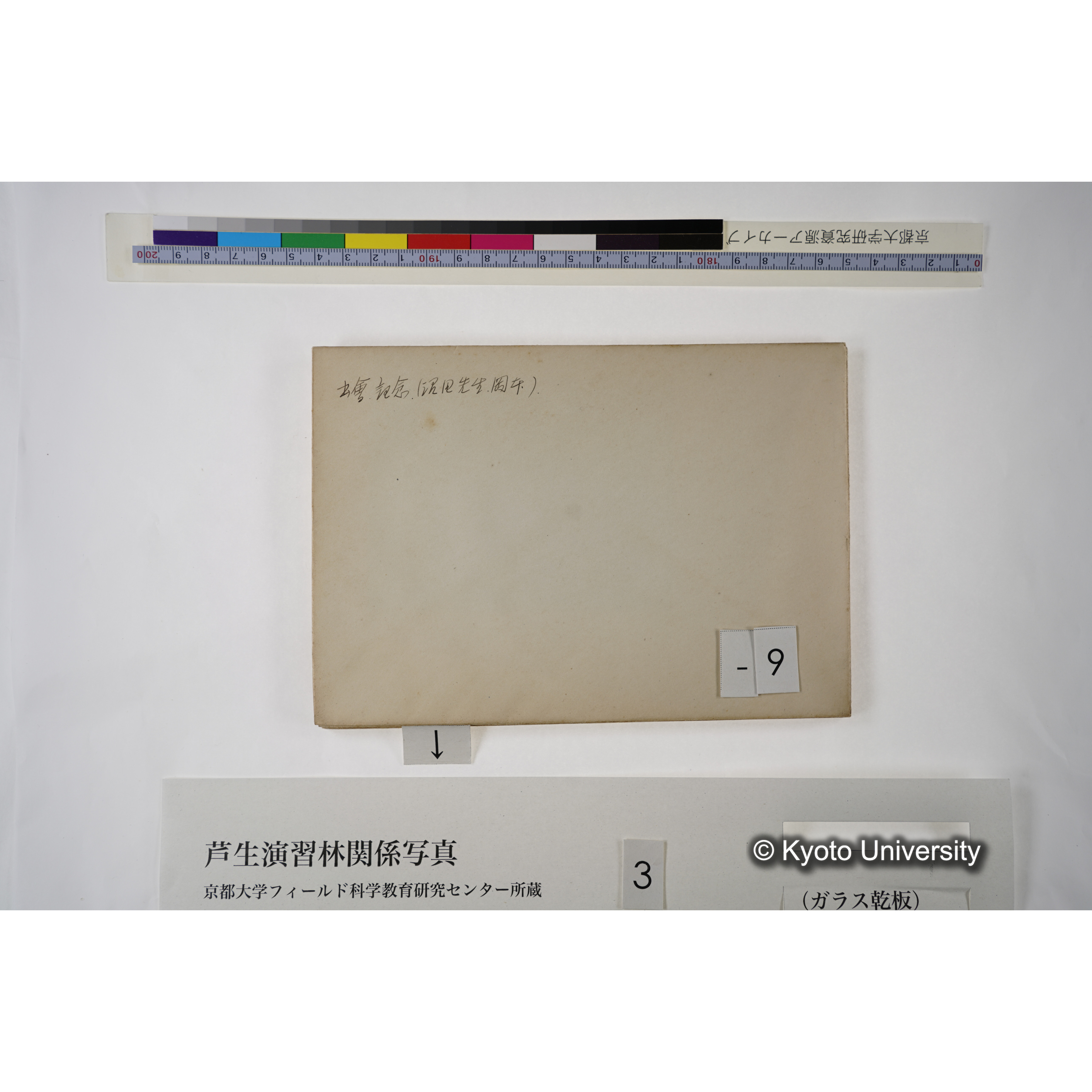 [一括(紐括り)]芦生-柴田1 (14)