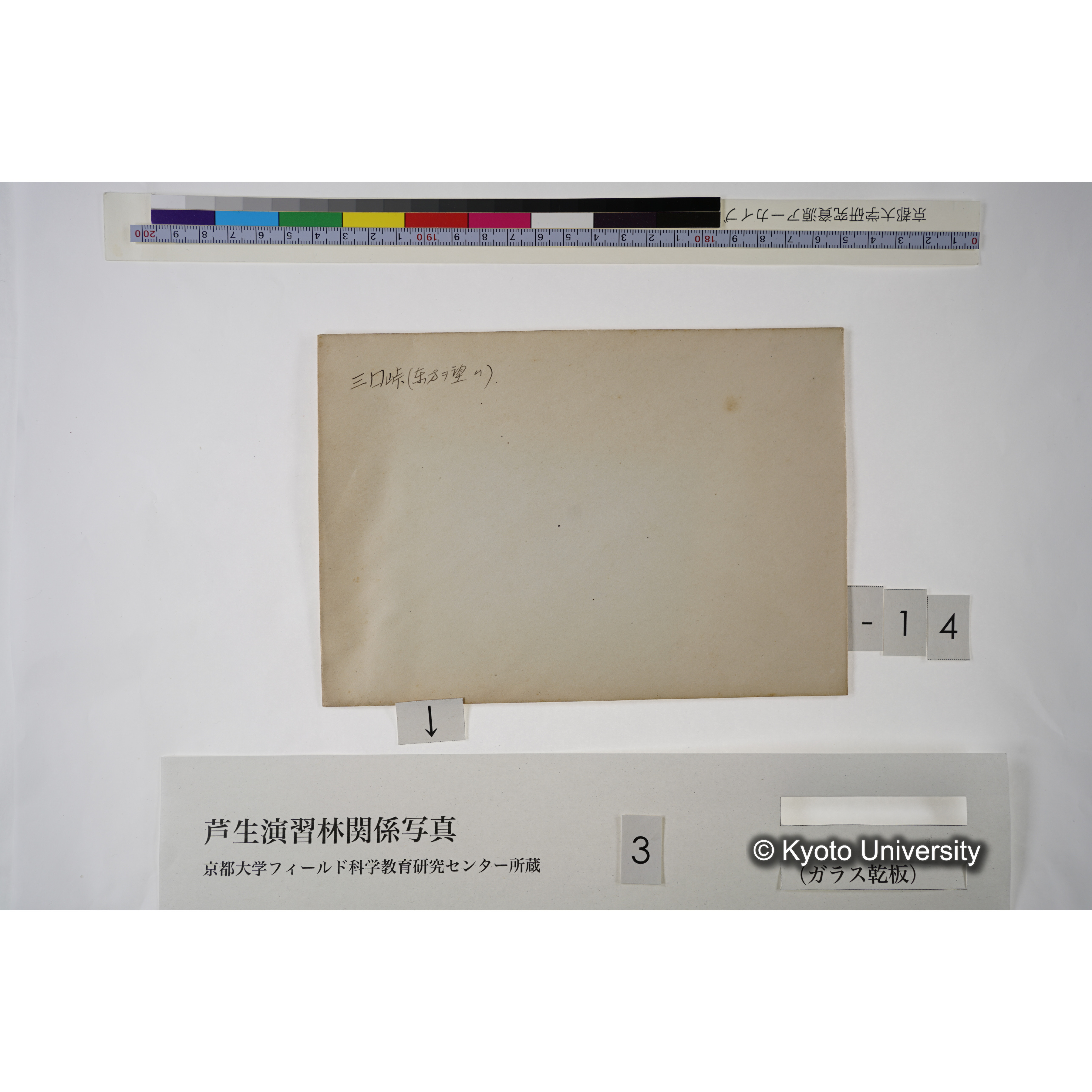 [一括(紐括り)]芦生-柴田1 (19)