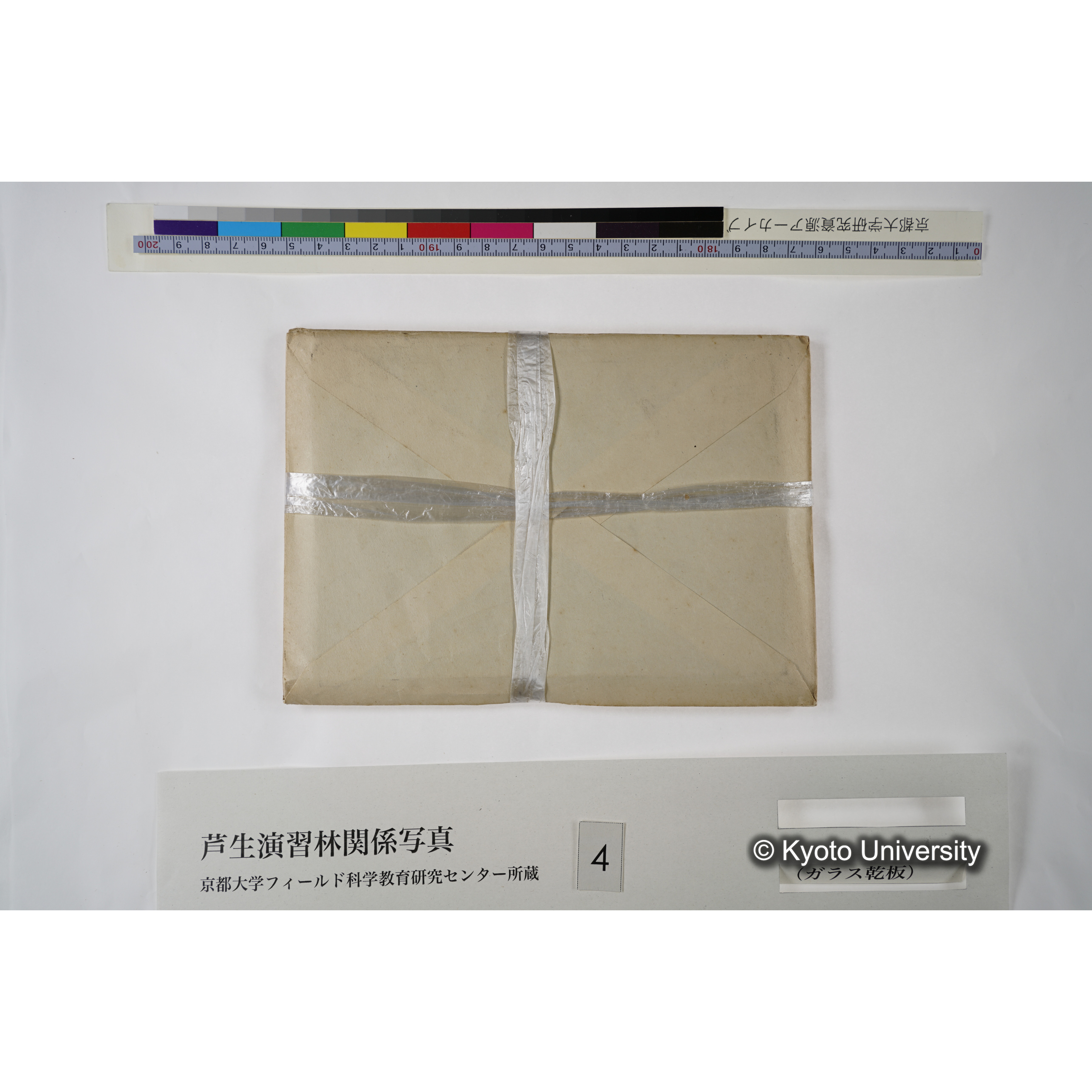 [一括(紐括り)]芦生-柴田2 (2)