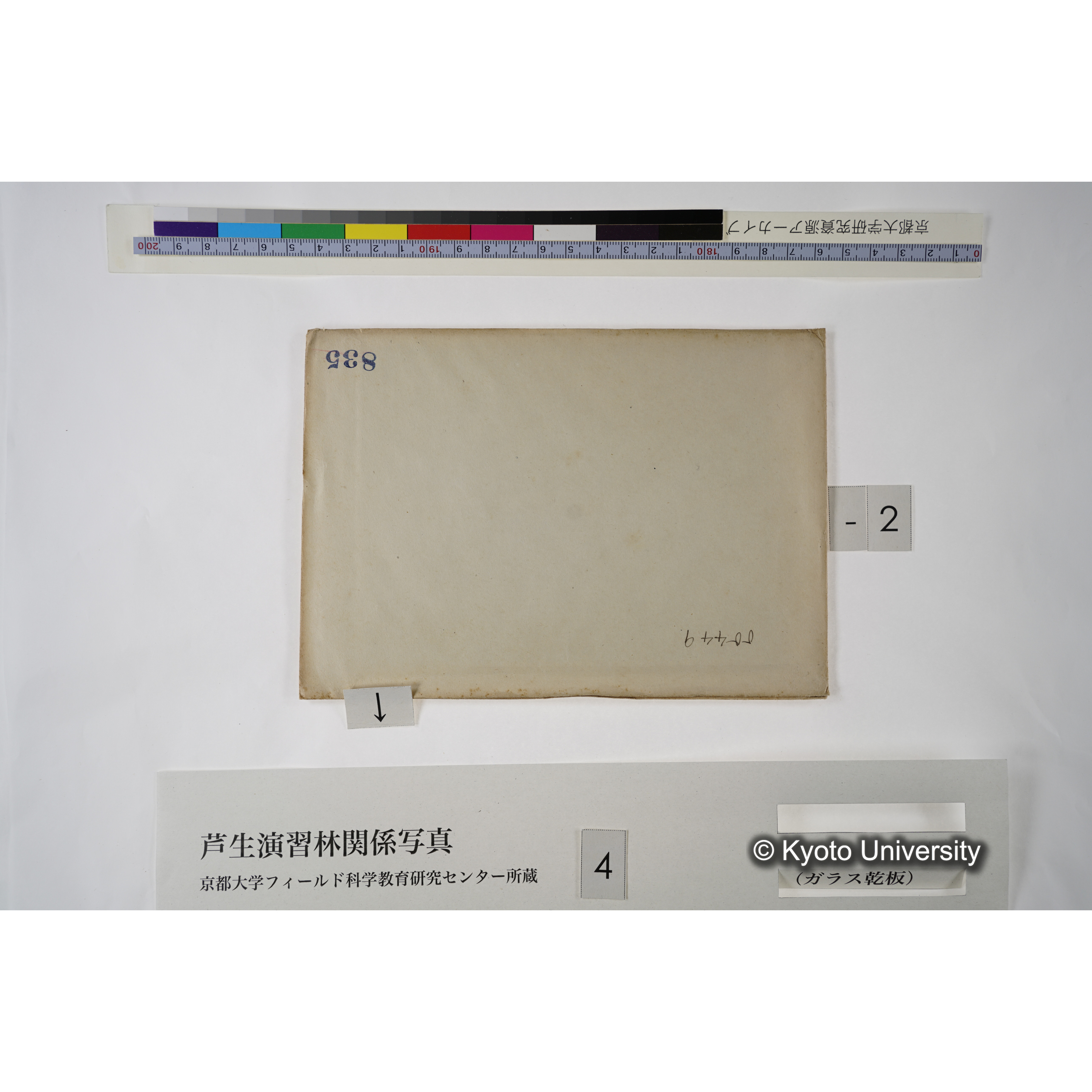 [一括(紐括り)]芦生-柴田2 (3)