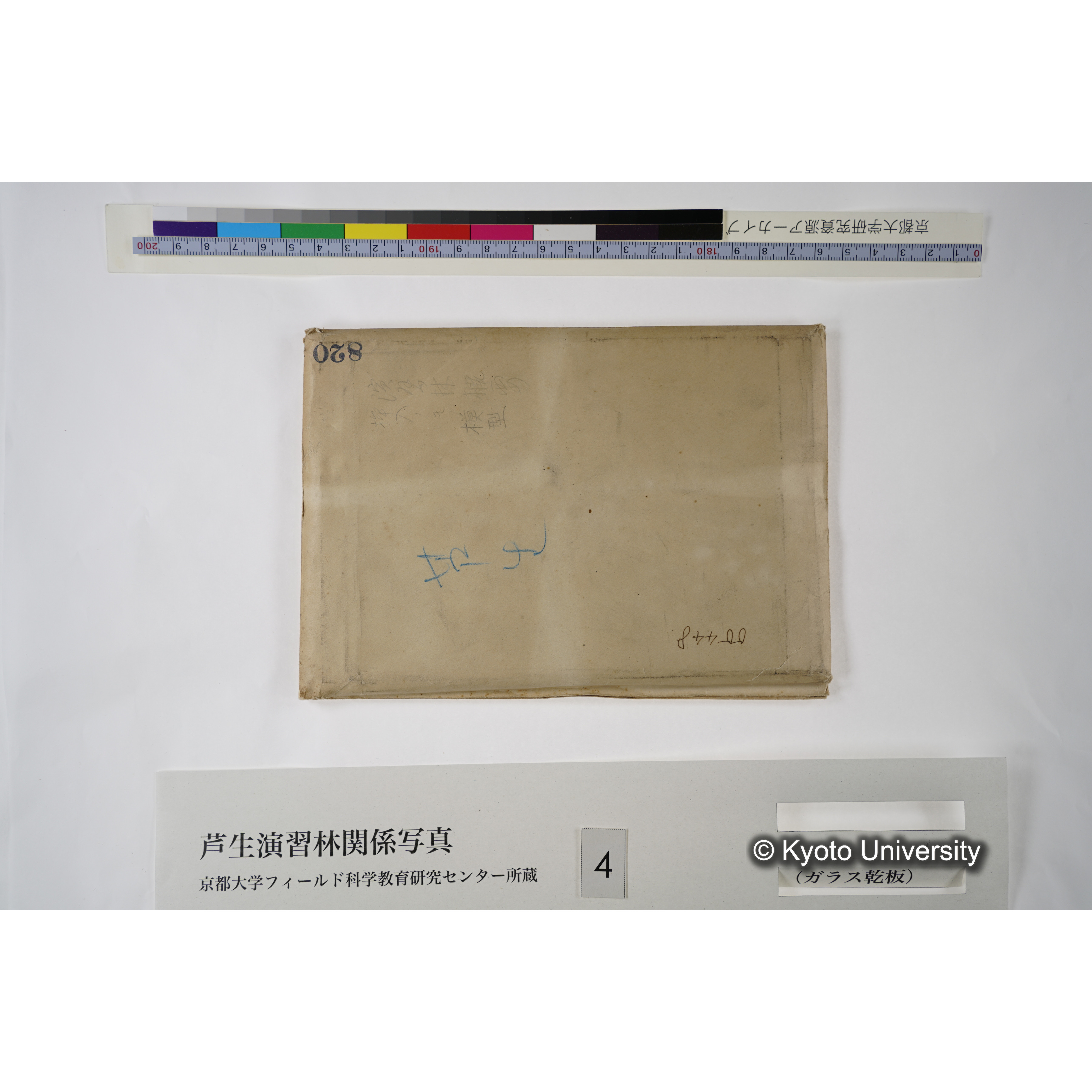 [一括(紐括り)]芦生-柴田2 (4)