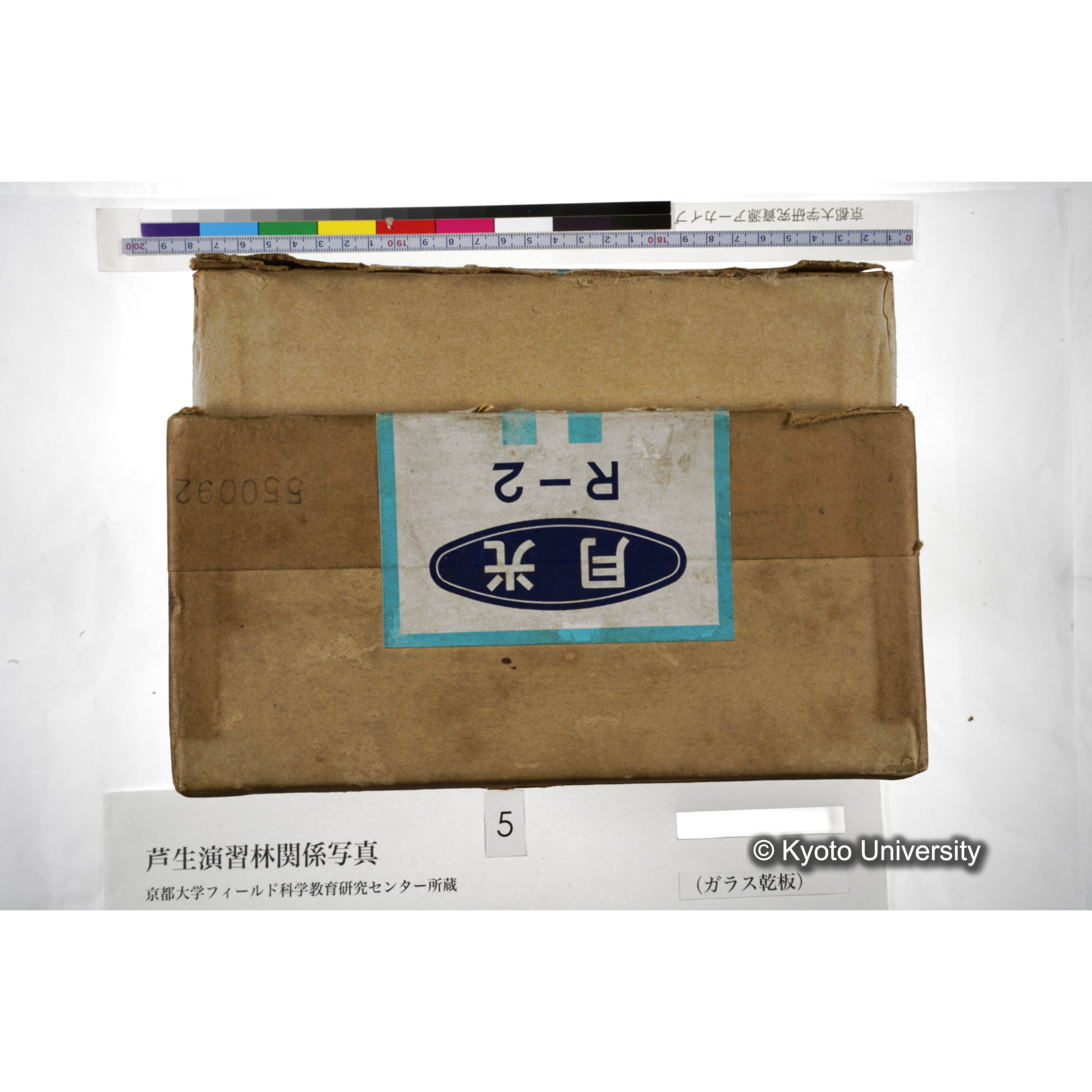 [箱]芦生-柴田3 (1)