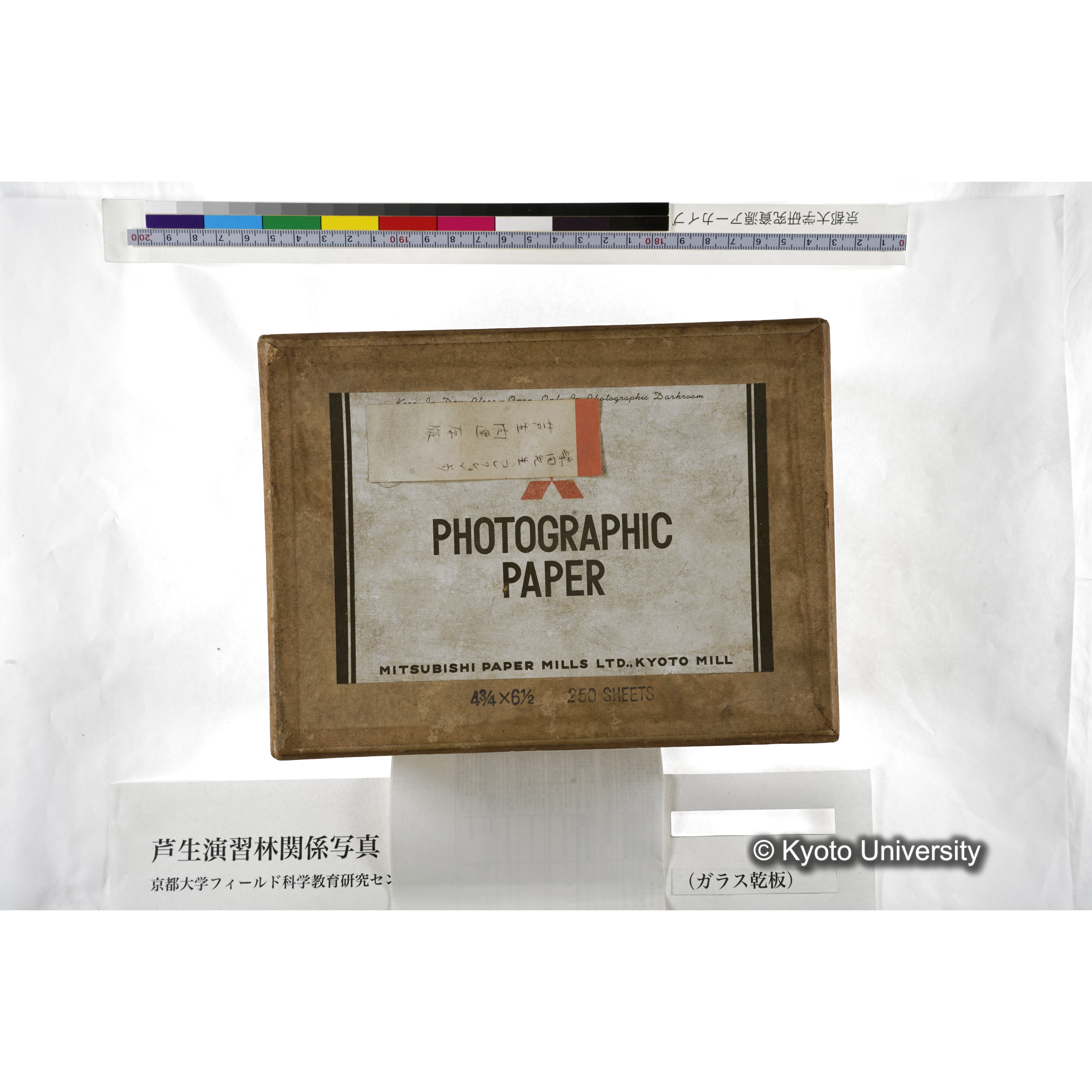 [箱]芦生-柴田3 (3)