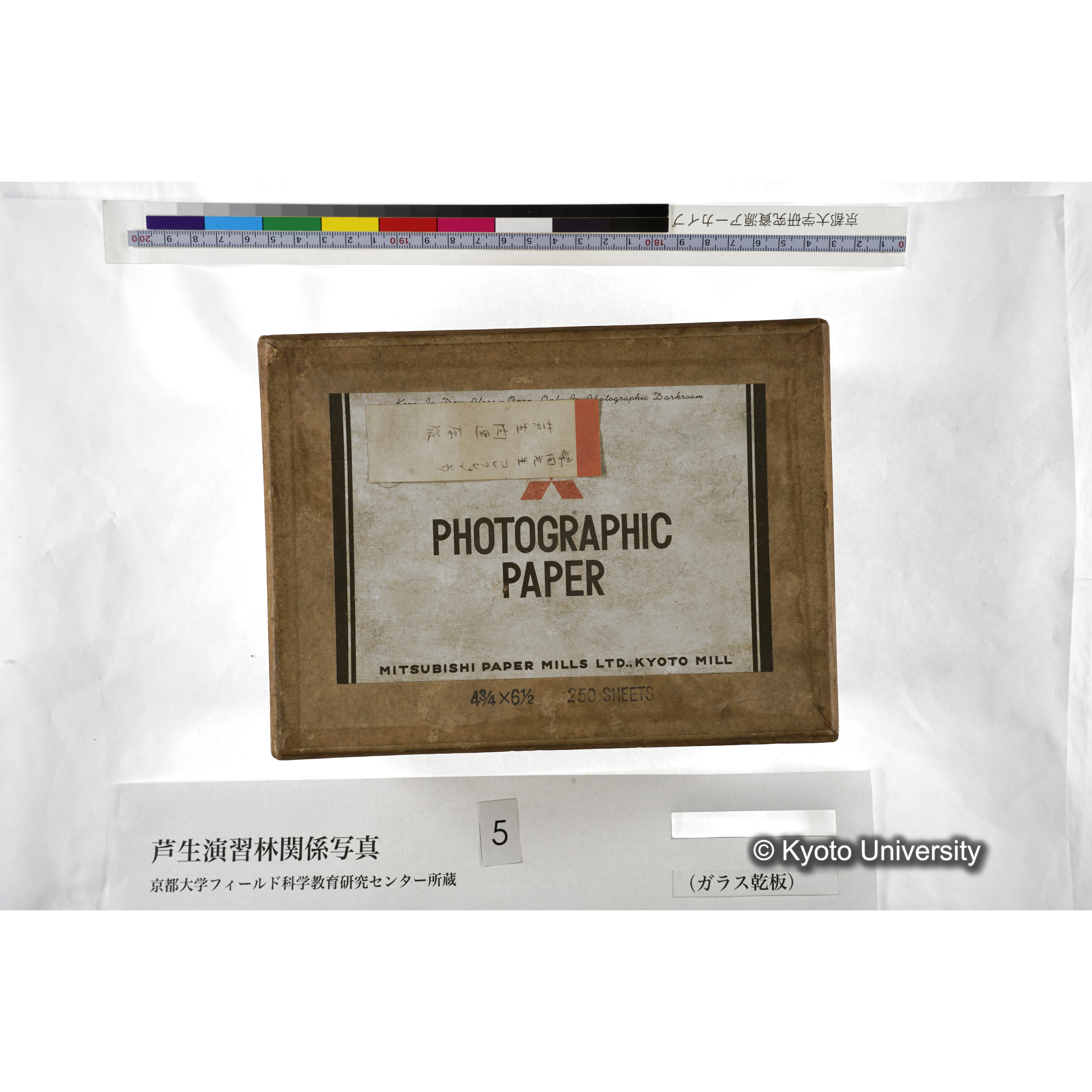 [箱]芦生-柴田3 (4)