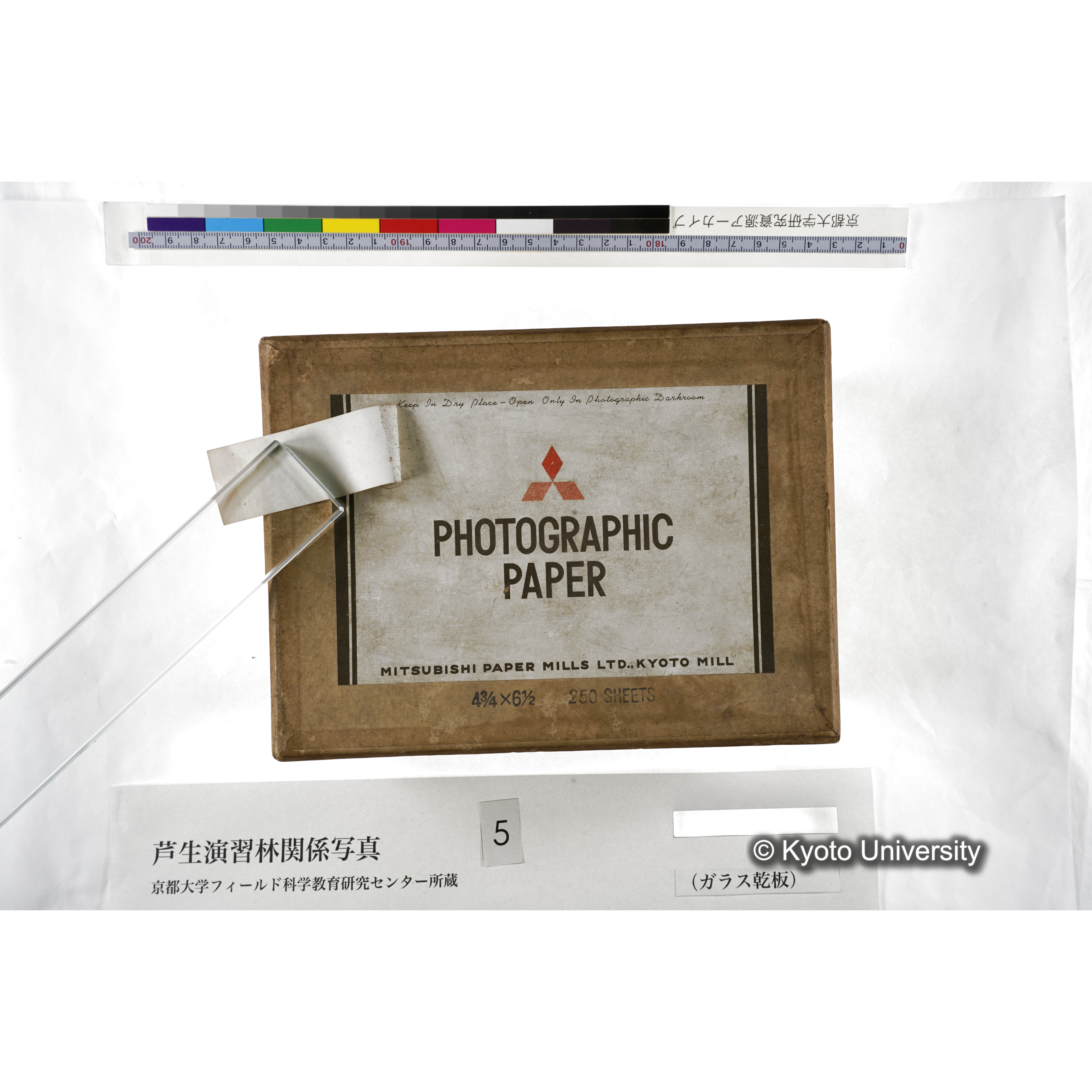 [箱]芦生-柴田3 (5)