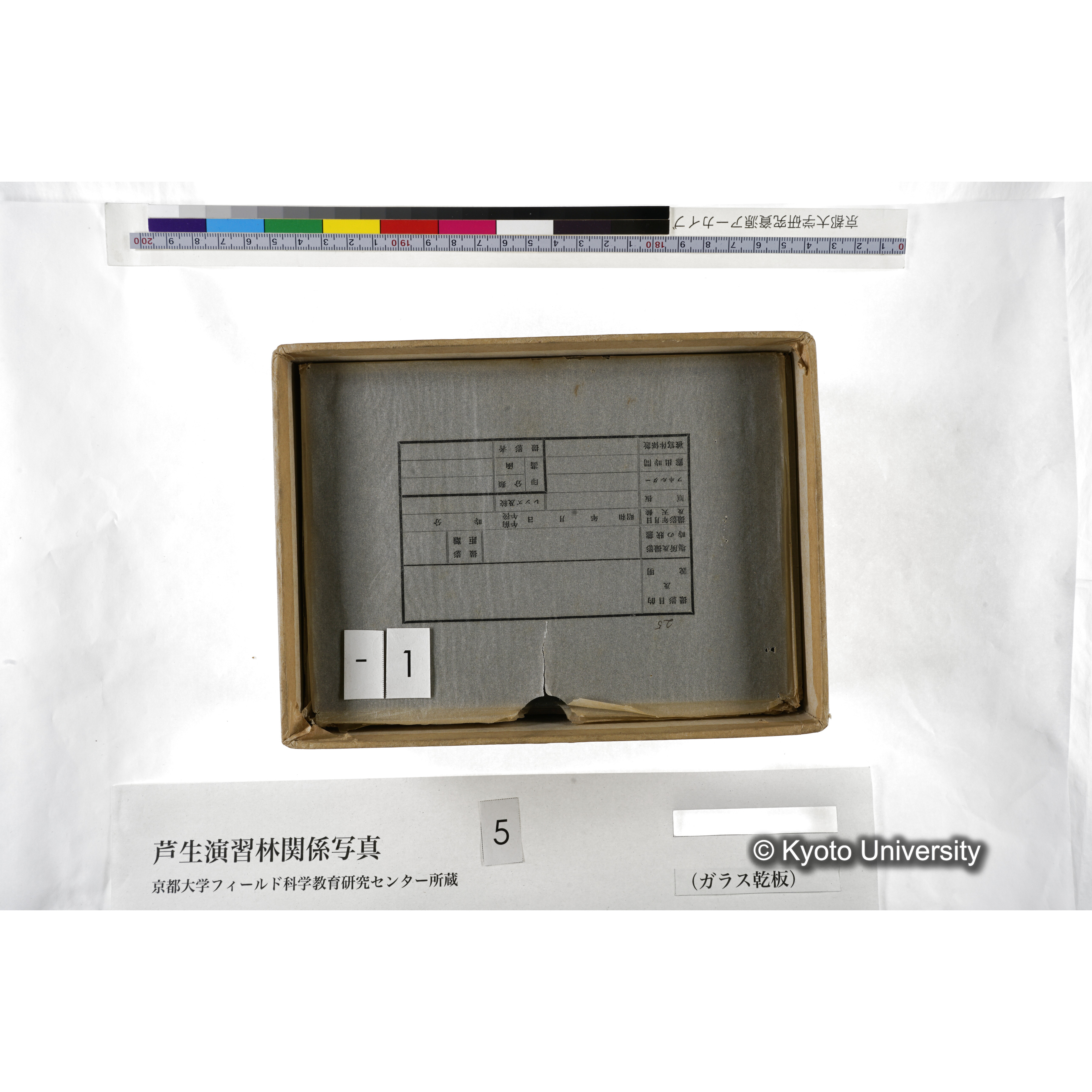 [箱]芦生-柴田3 (6)