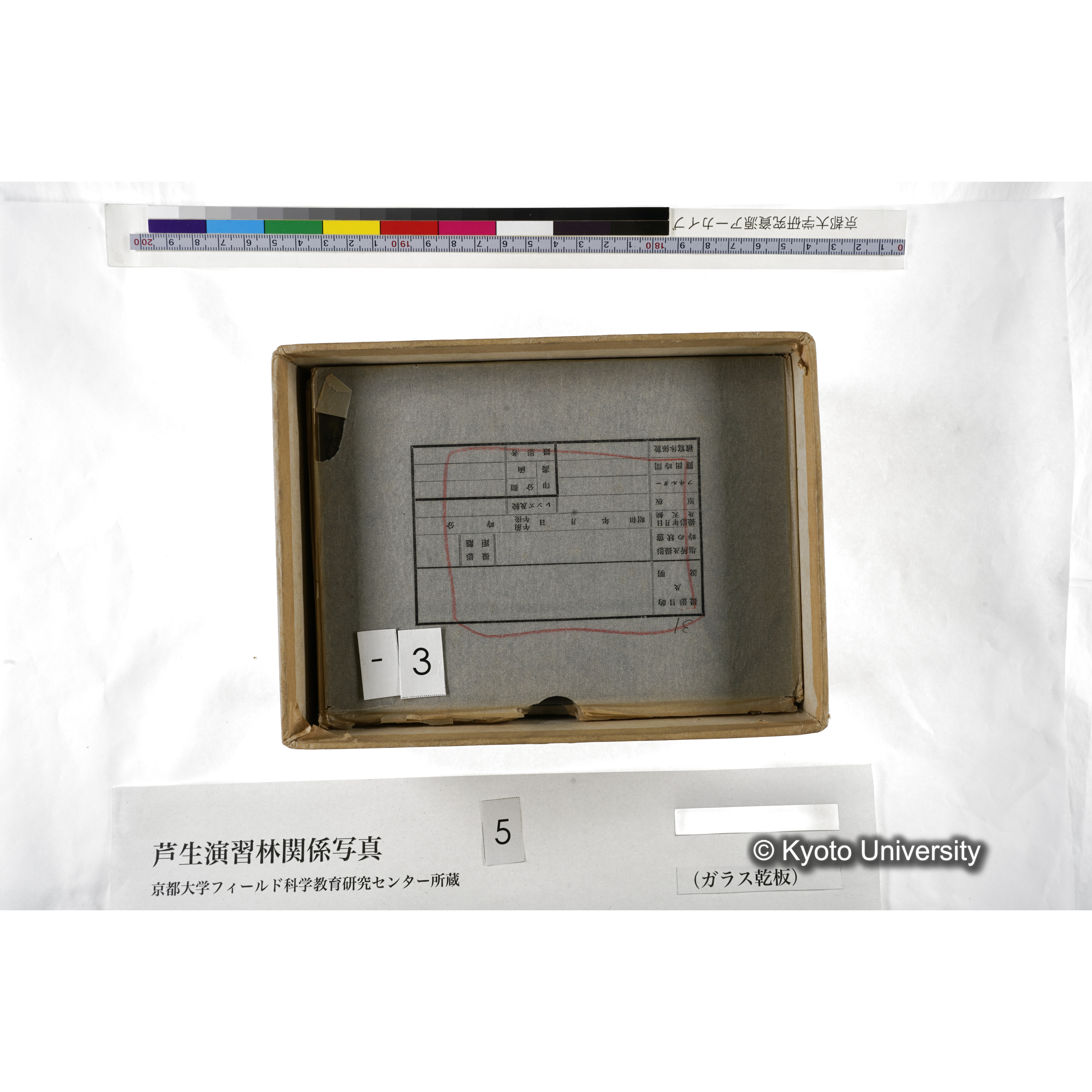 [箱]芦生-柴田3 (8)