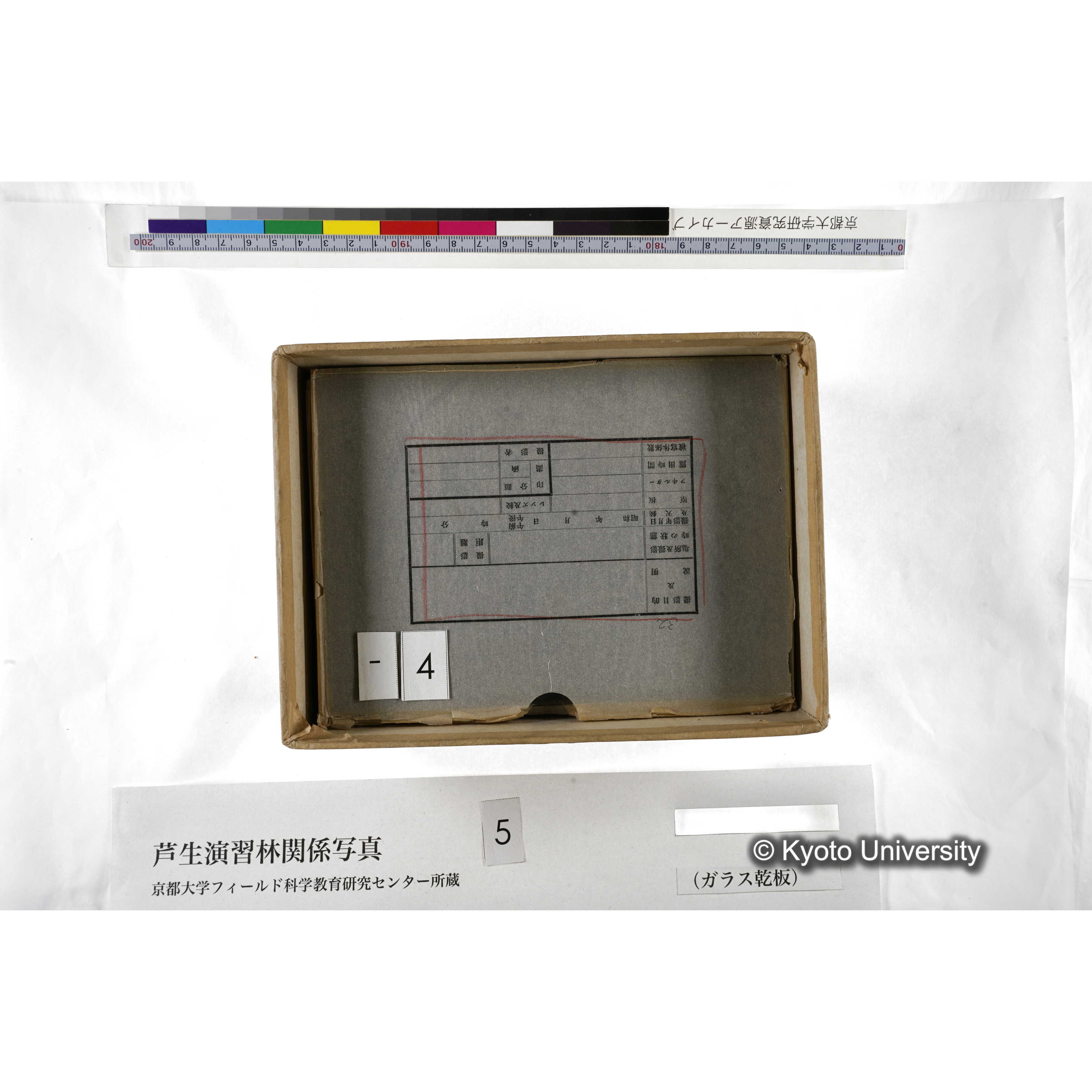 [箱]芦生-柴田3 (9)