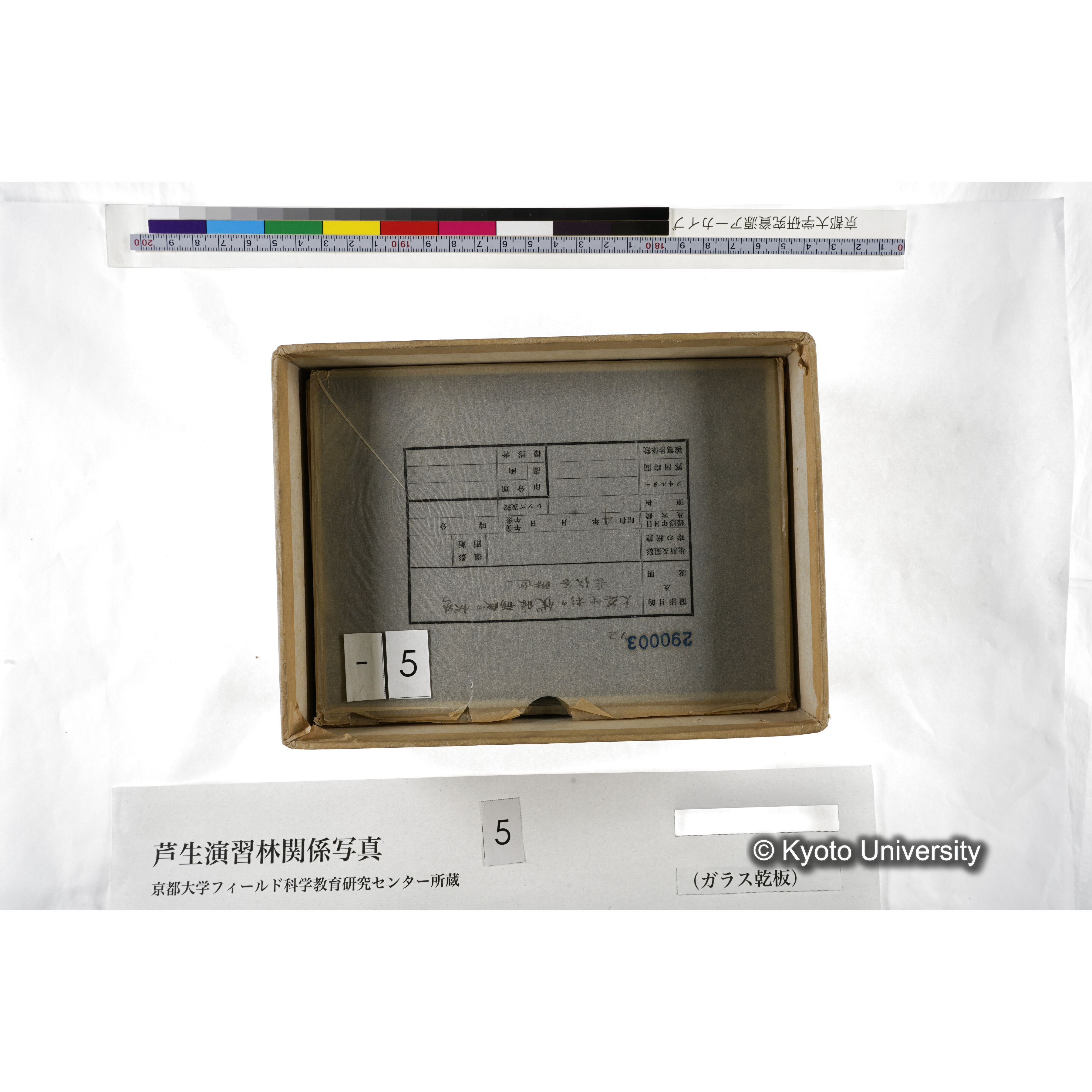 [箱]芦生-柴田3 (10)