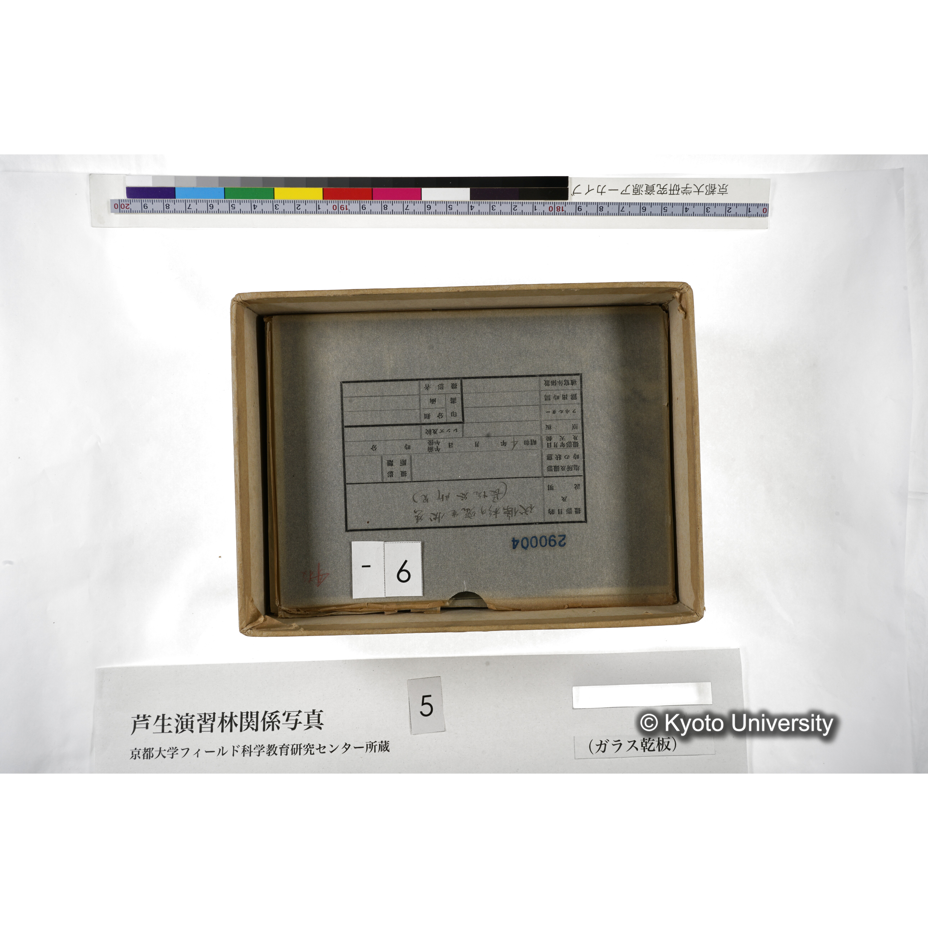 [箱]芦生-柴田3 (11)