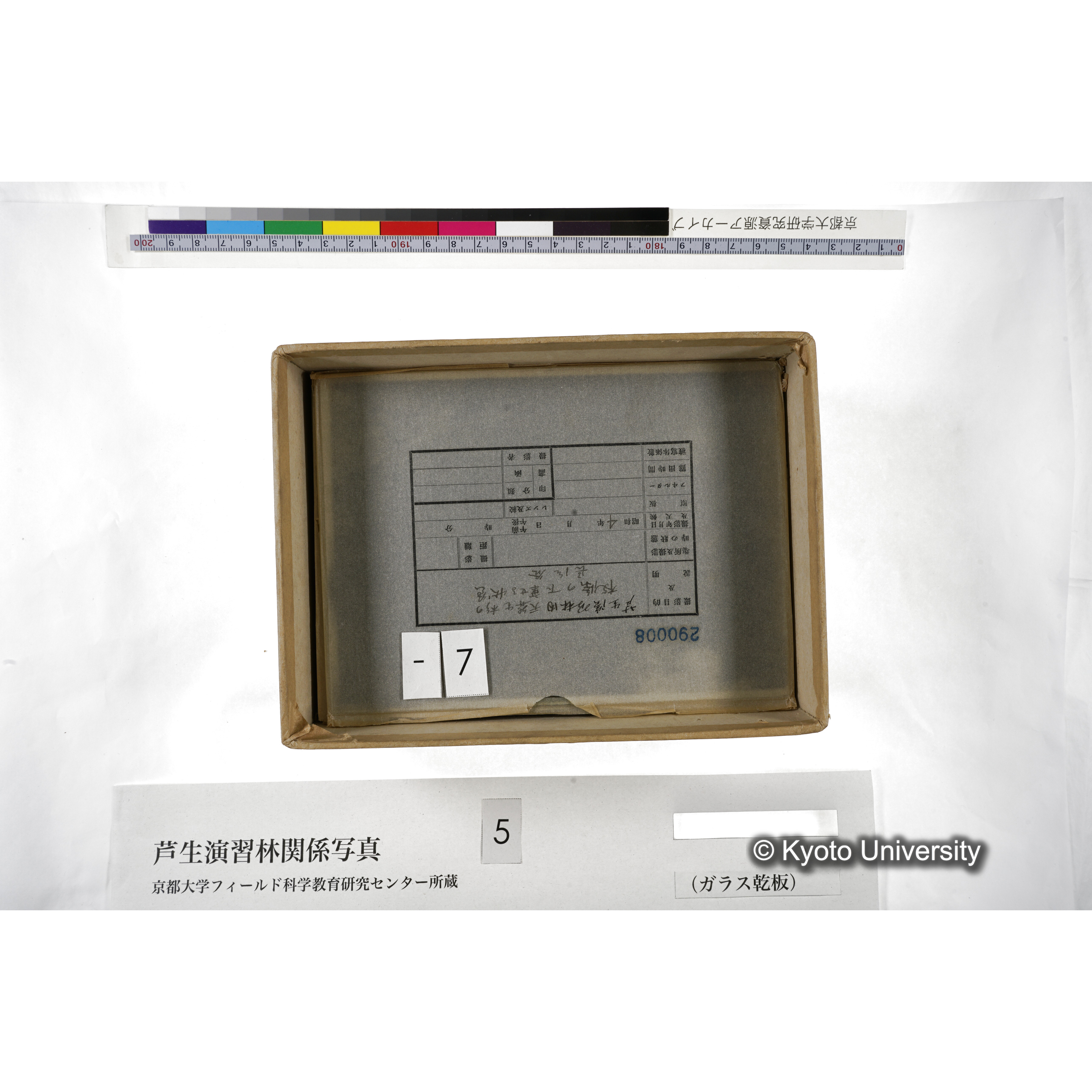 [箱]芦生-柴田3 (12)