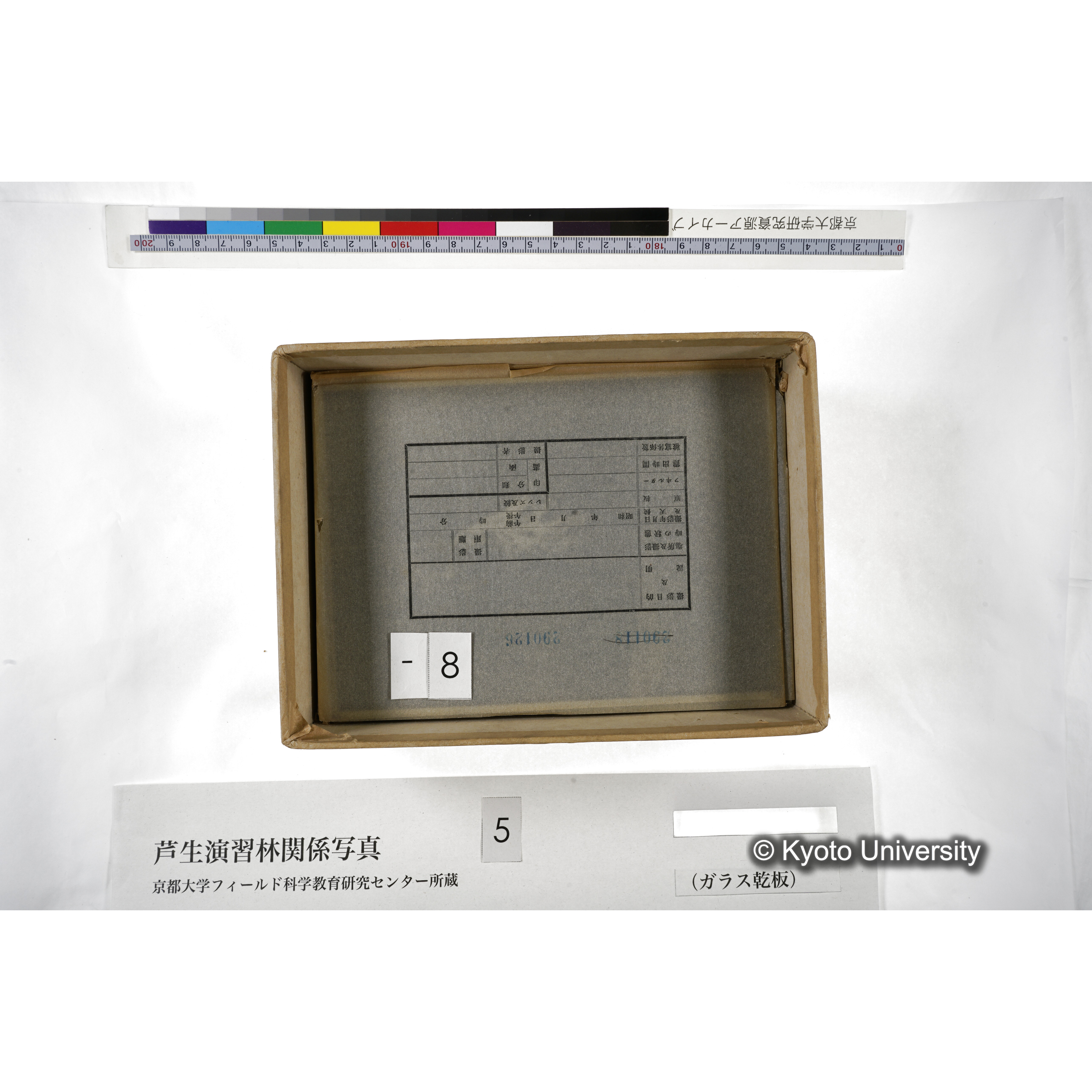 [箱]芦生-柴田3 (13)