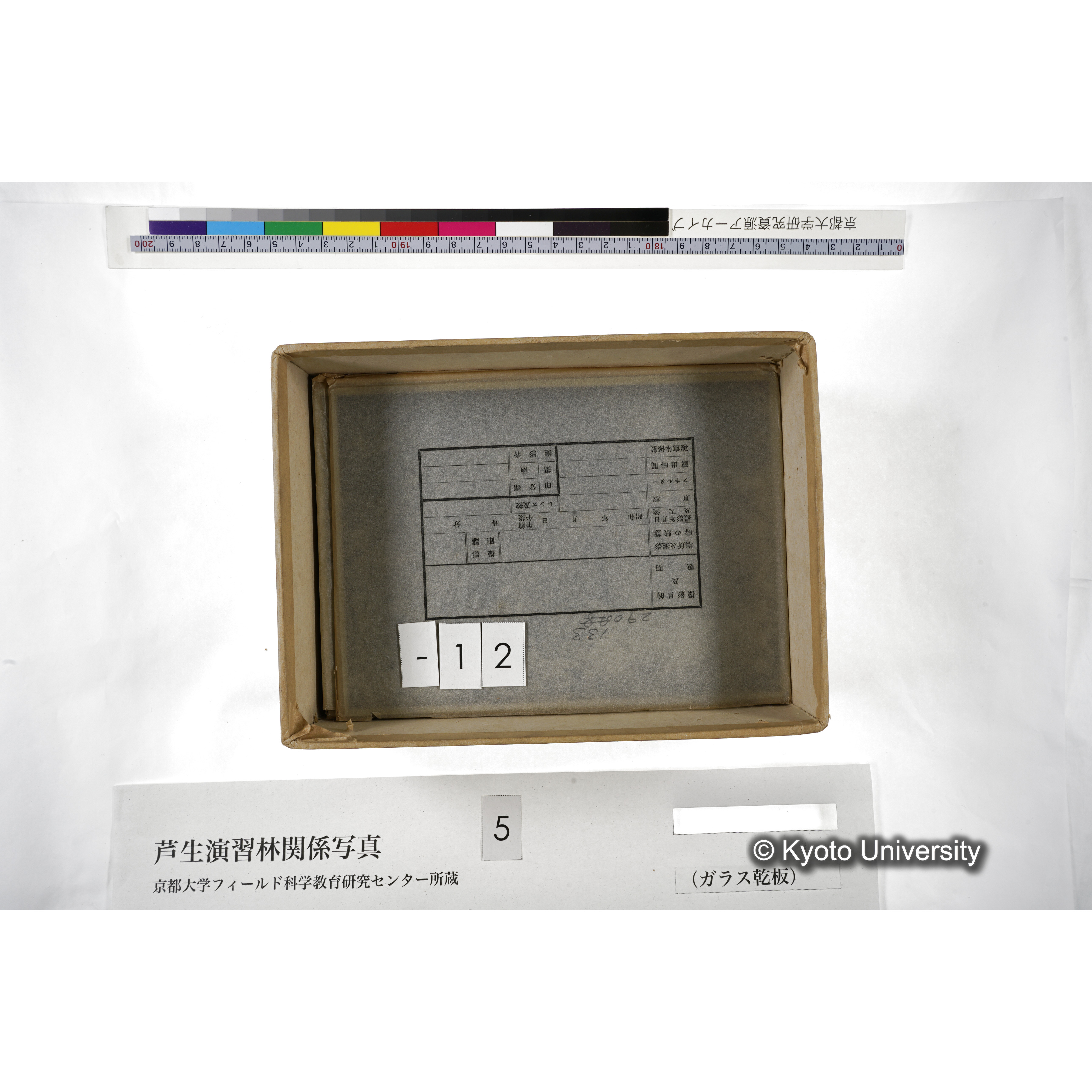 [箱]芦生-柴田3 (17)