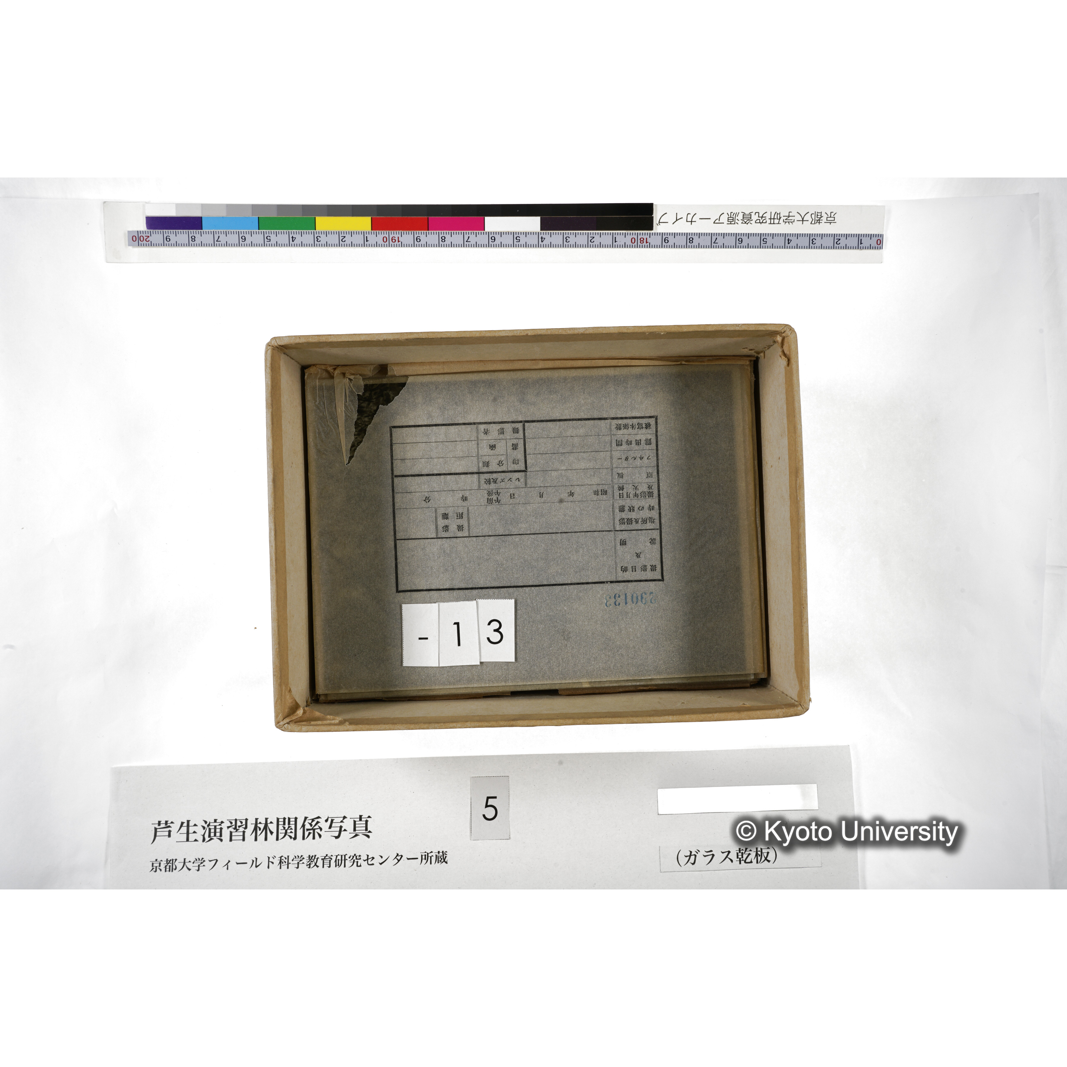 [箱]芦生-柴田3 (18)