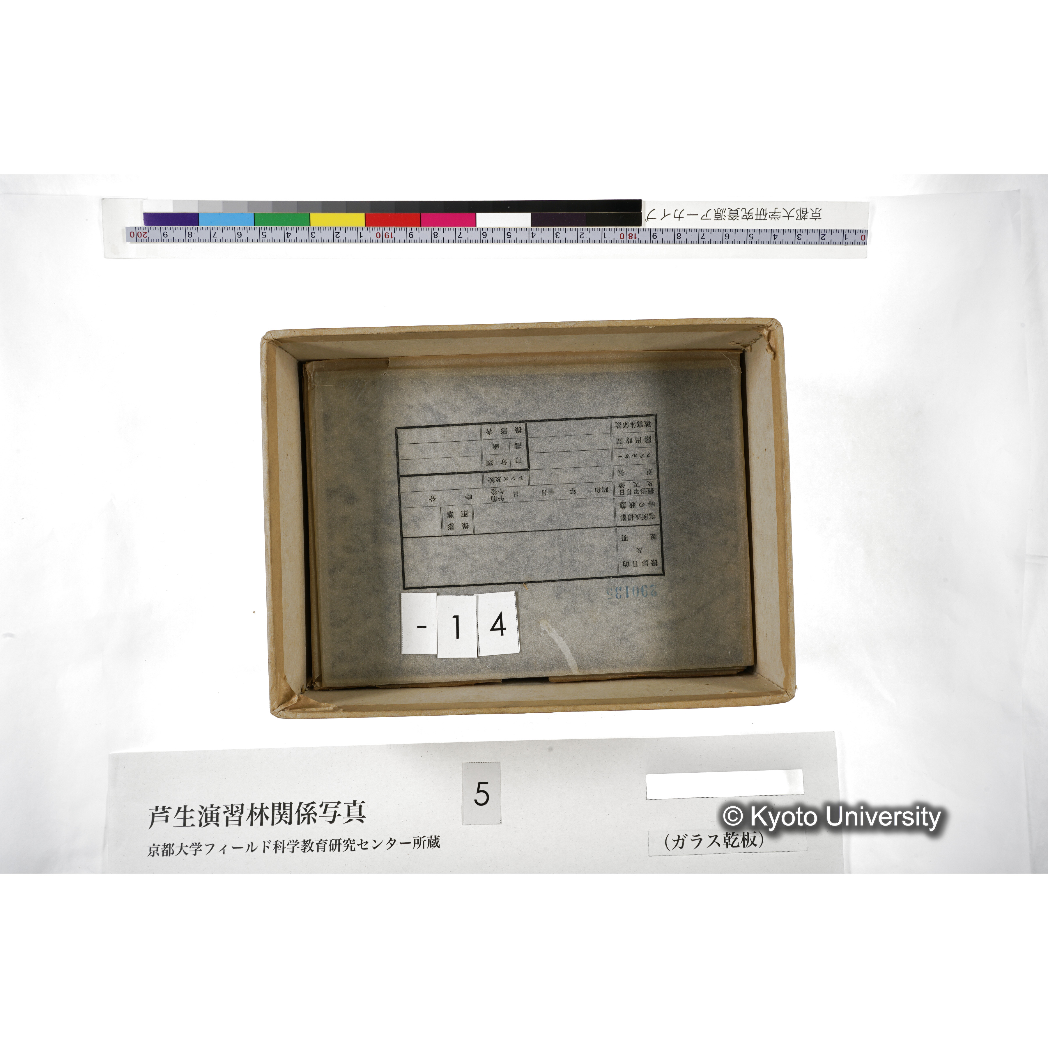 [箱]芦生-柴田3 (19)