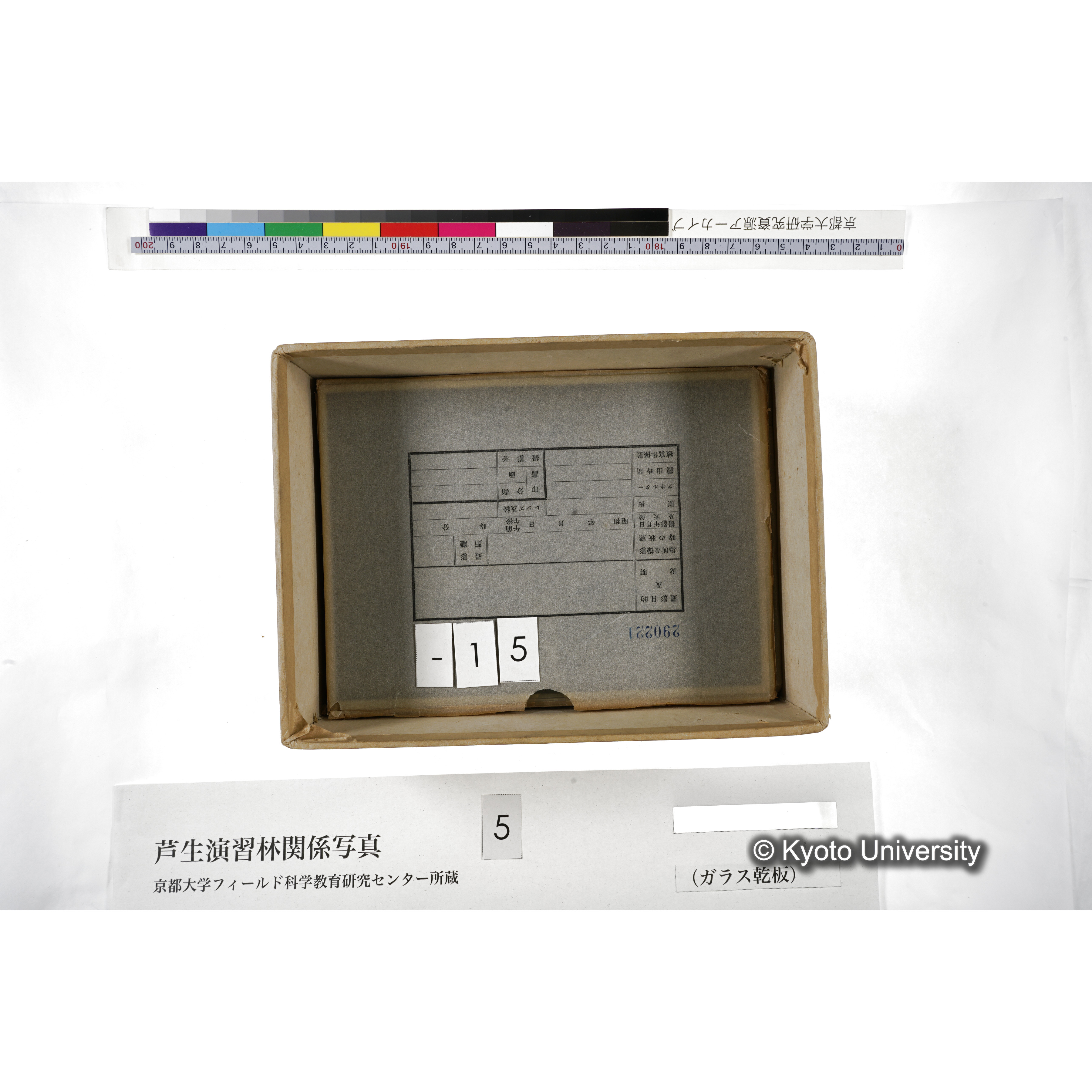 [箱]芦生-柴田3 (20)