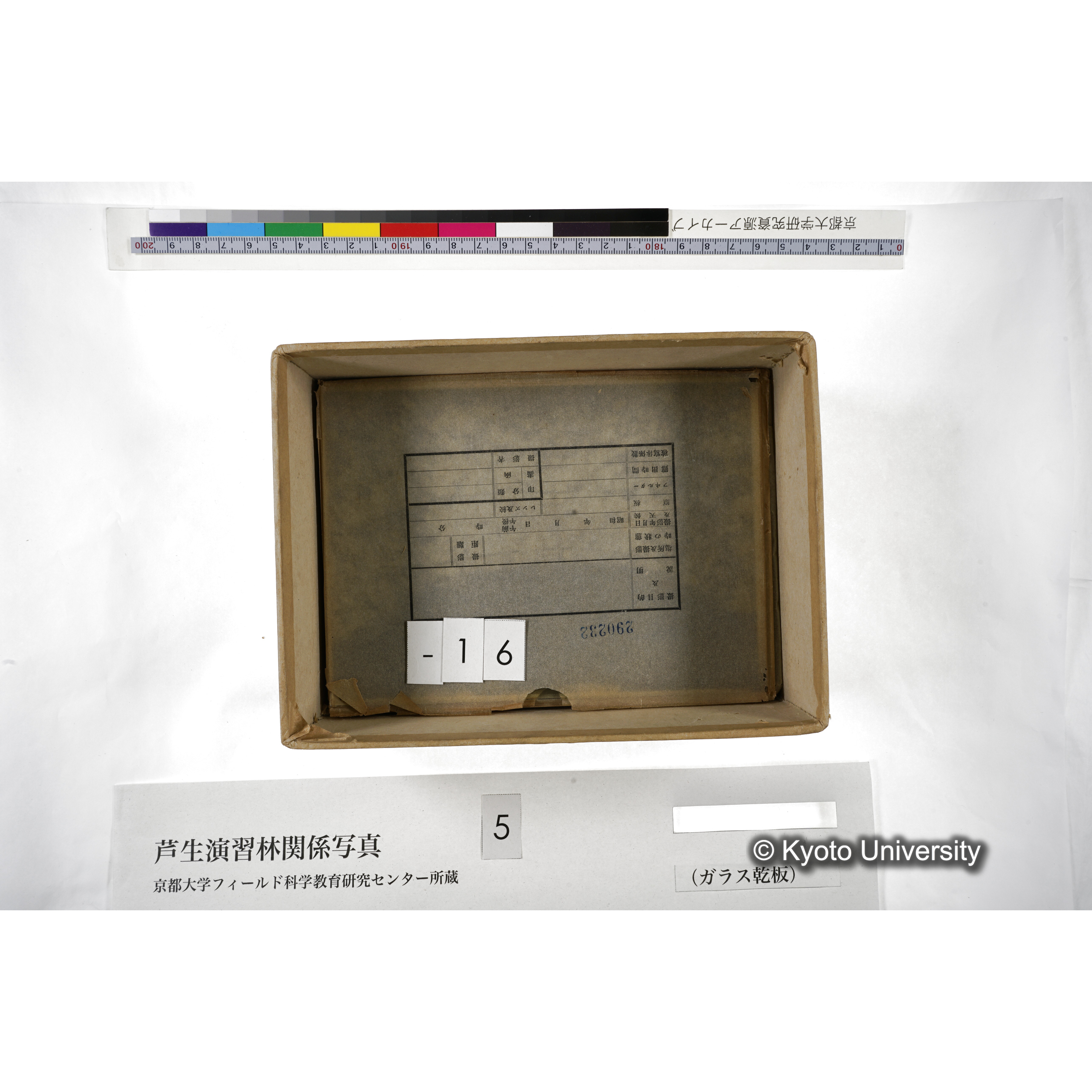 [箱]芦生-柴田3 (21)