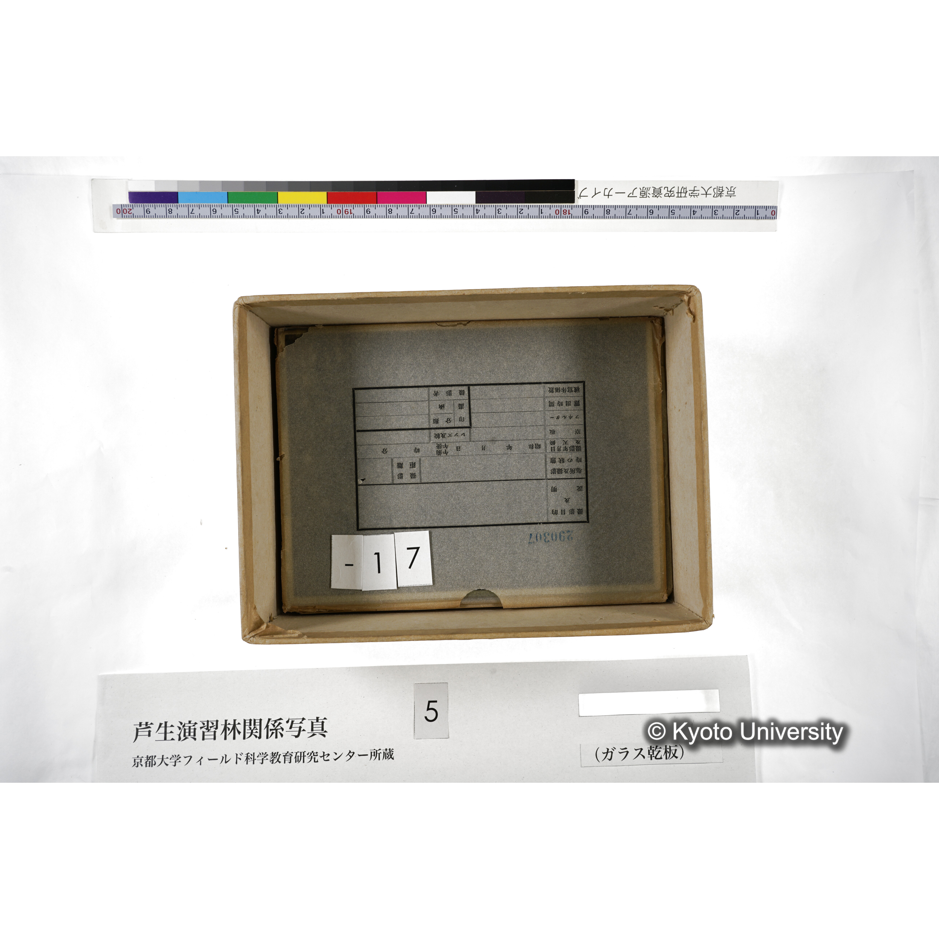 [箱]芦生-柴田3 (22)