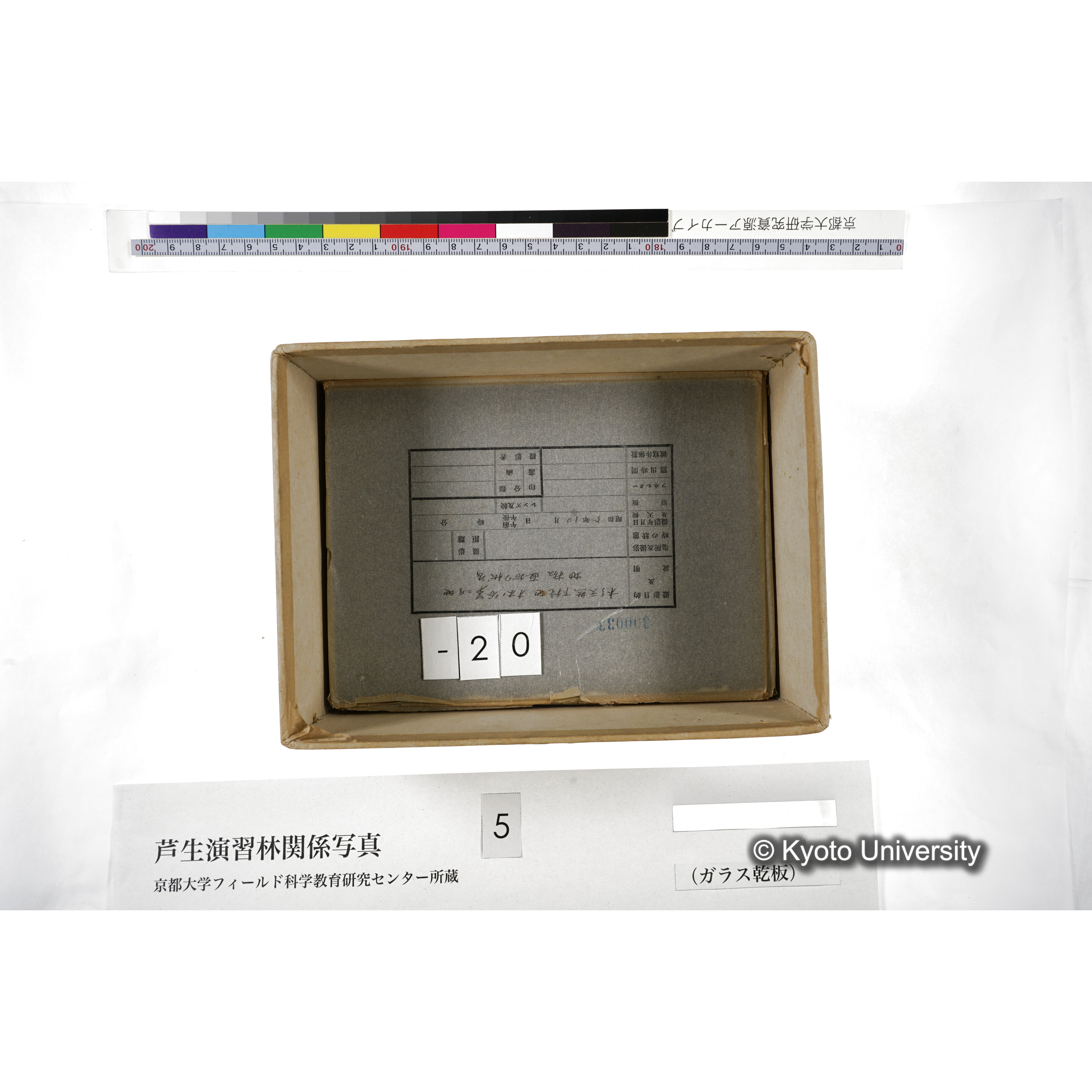 [箱]芦生-柴田3 (25)