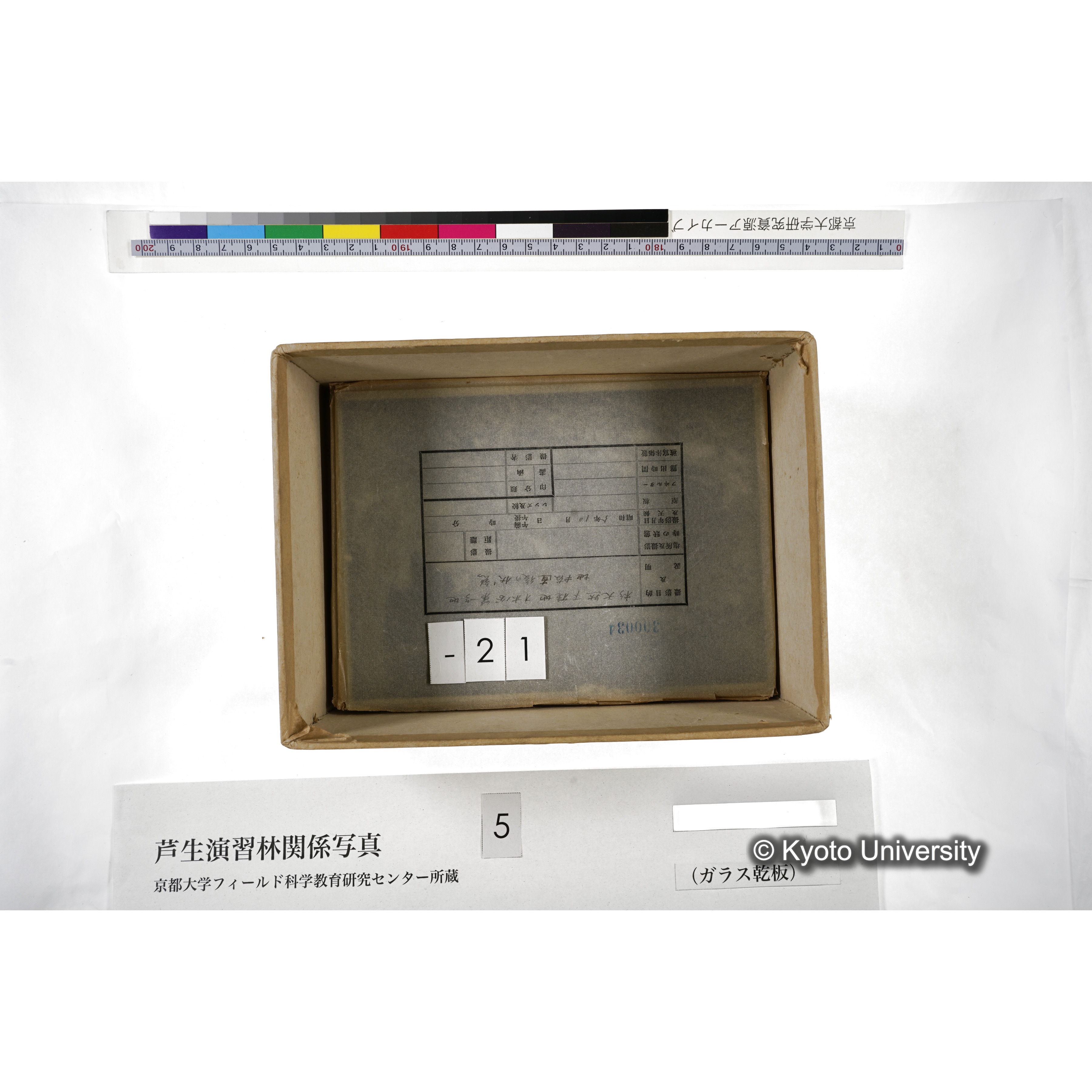 [箱]芦生-柴田3 (26)