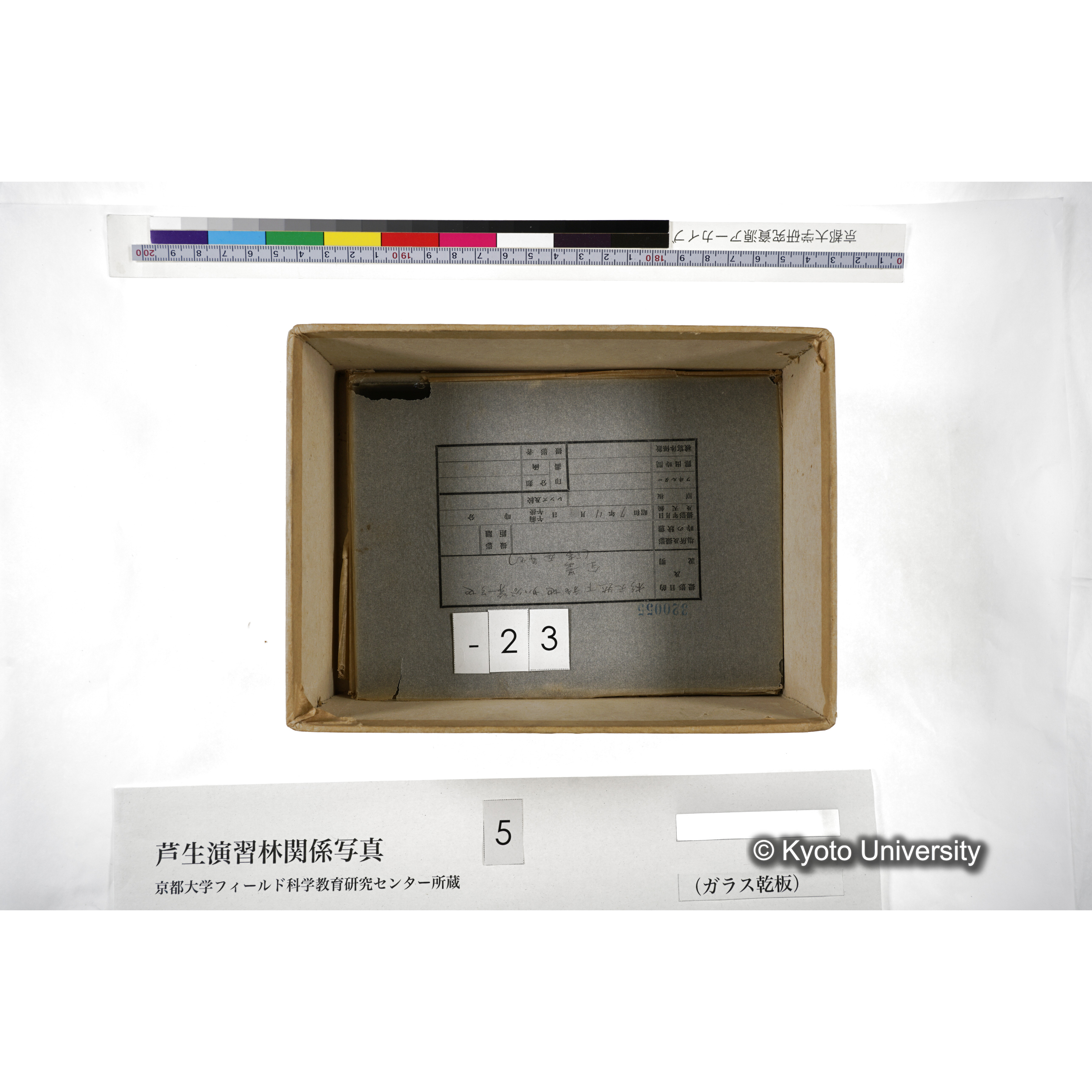 [箱]芦生-柴田3 (28)