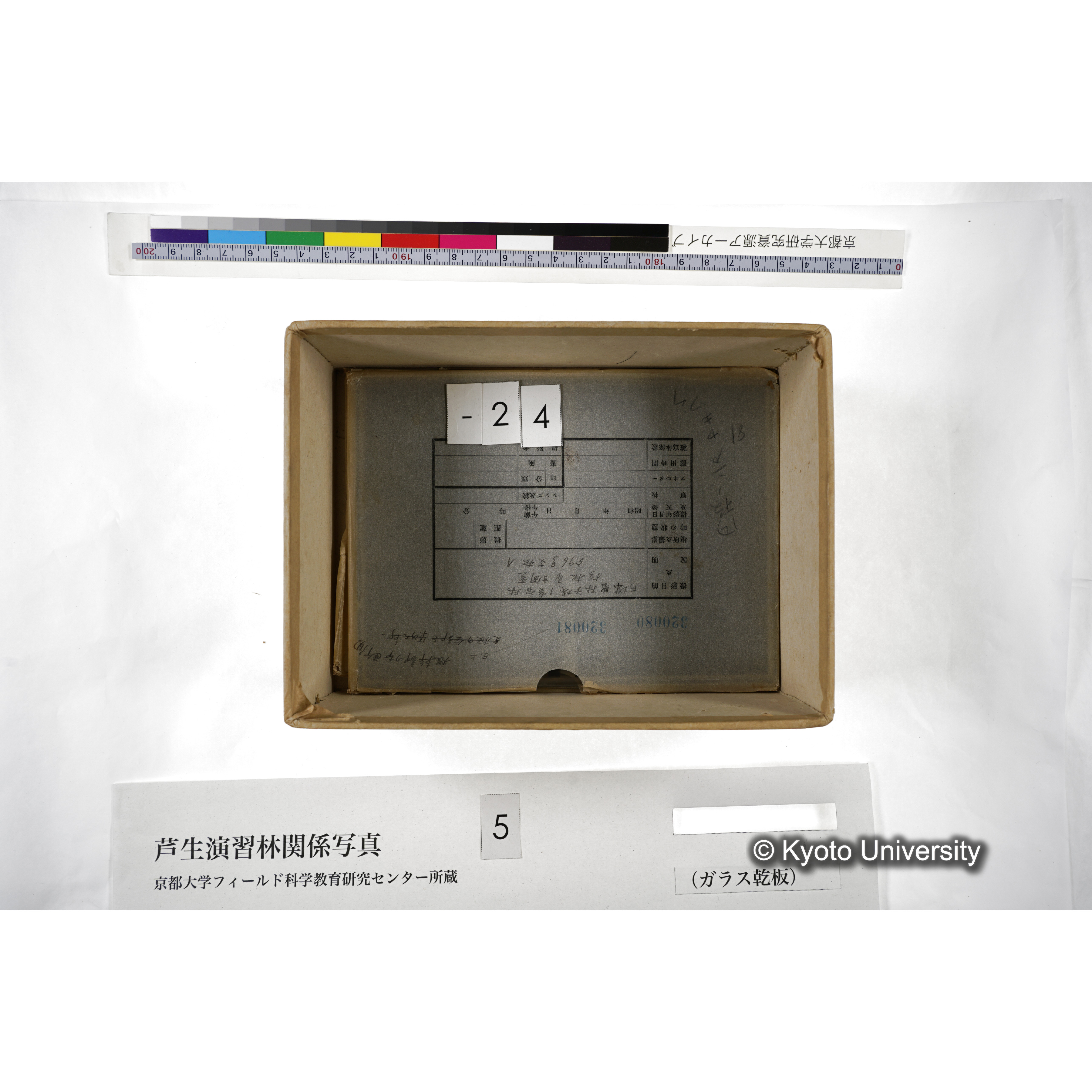 [箱]芦生-柴田3 (29)