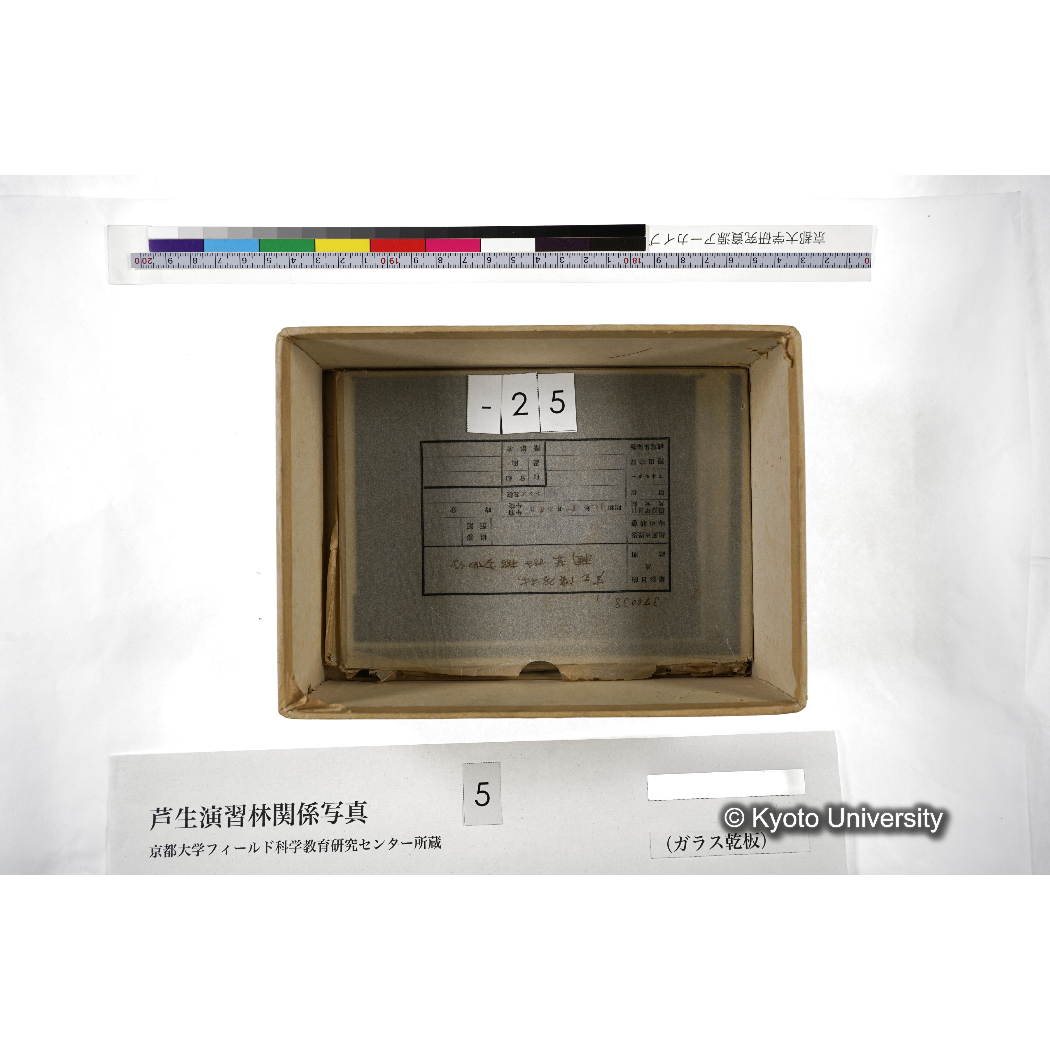 [箱]芦生-柴田3 (30)