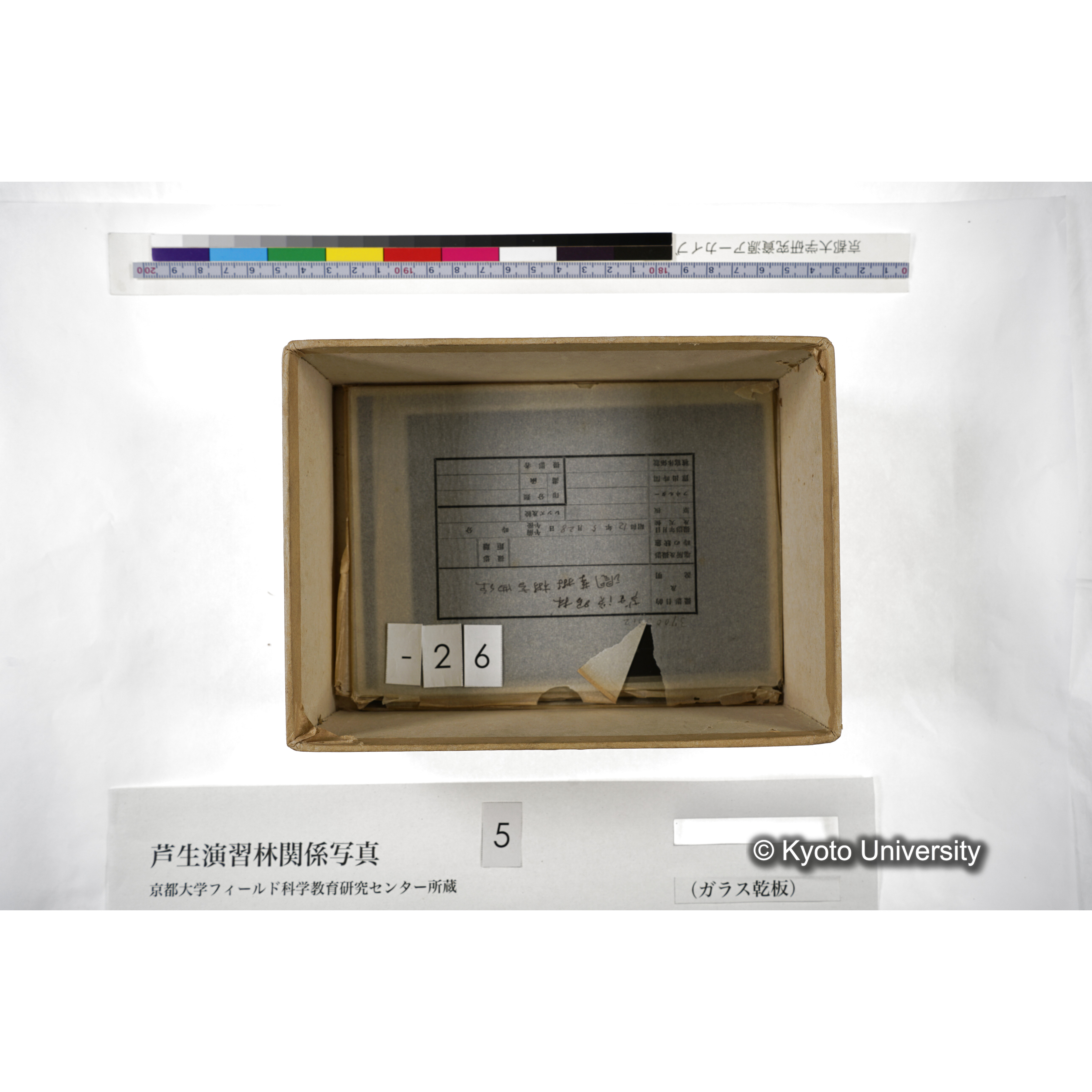 [箱]芦生-柴田3 (31)