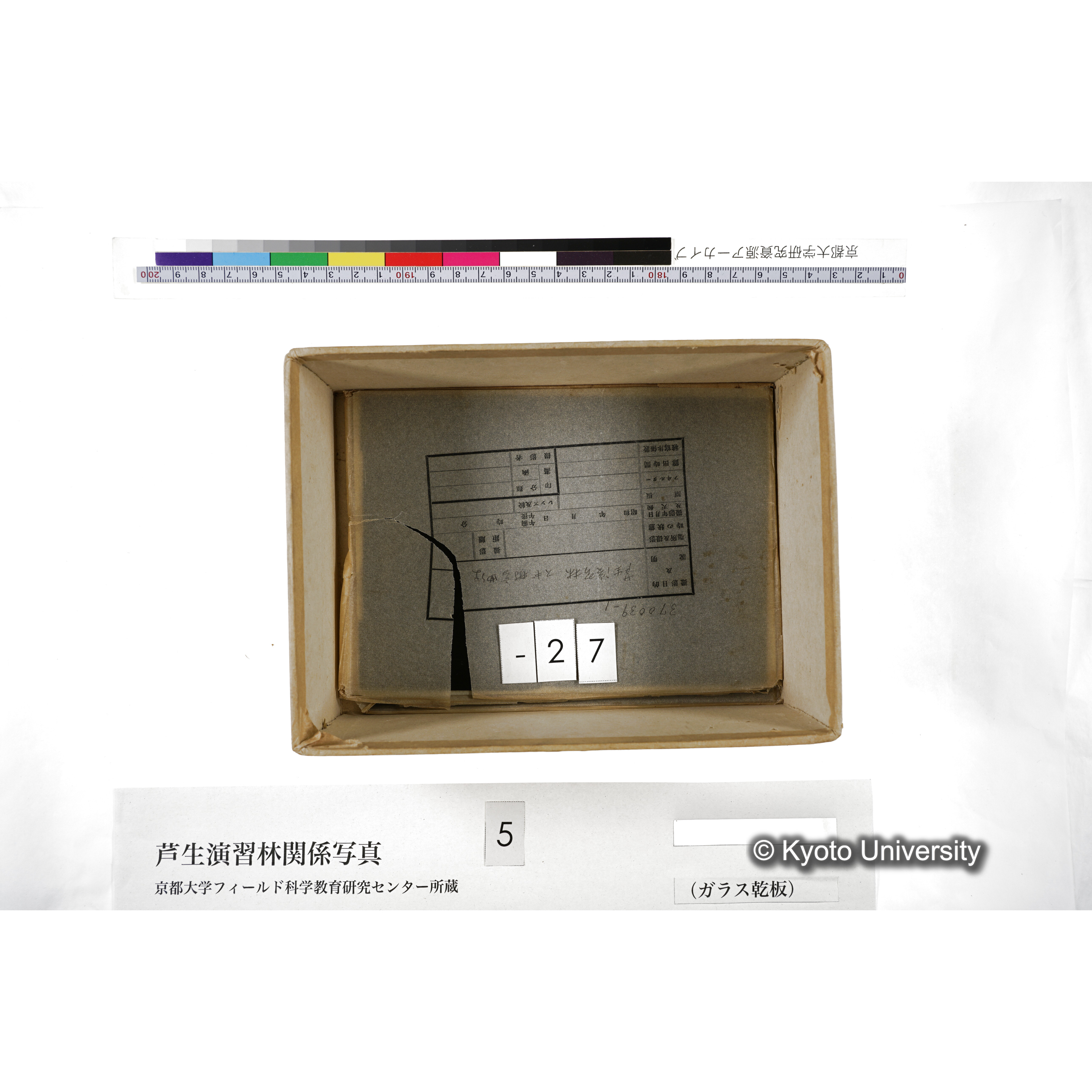 [箱]芦生-柴田3 (32)