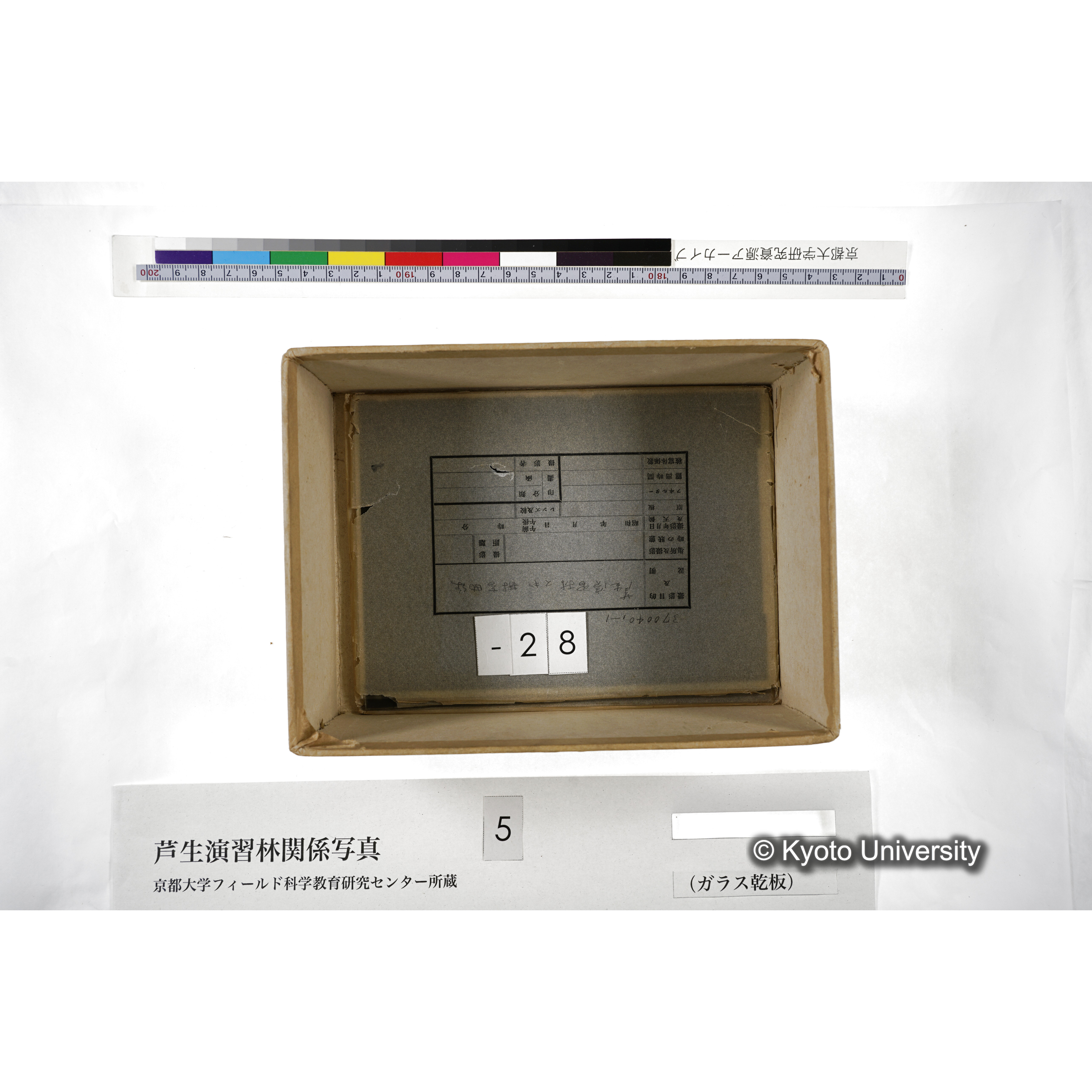 [箱]芦生-柴田3 (33)