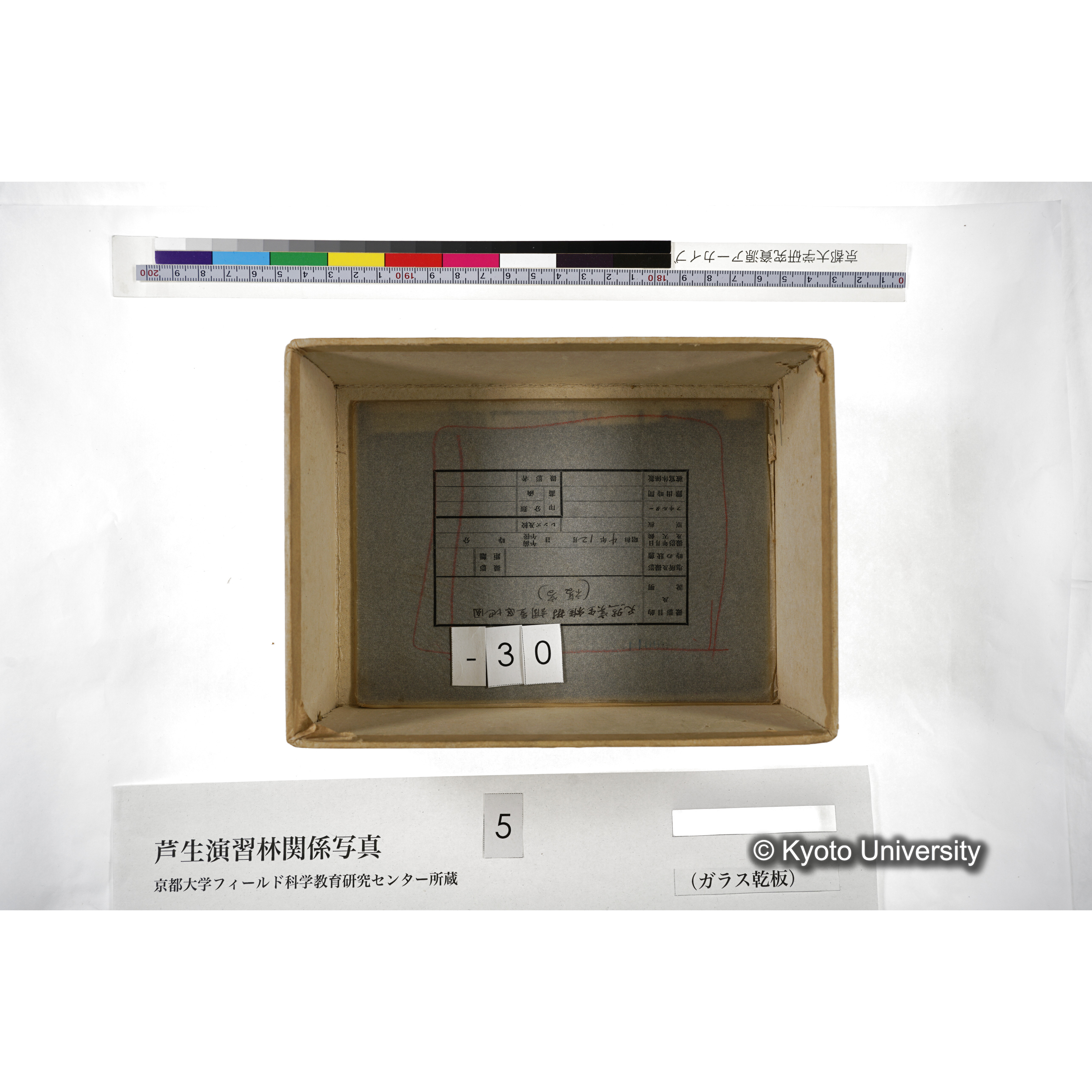 [箱]芦生-柴田3 (35)