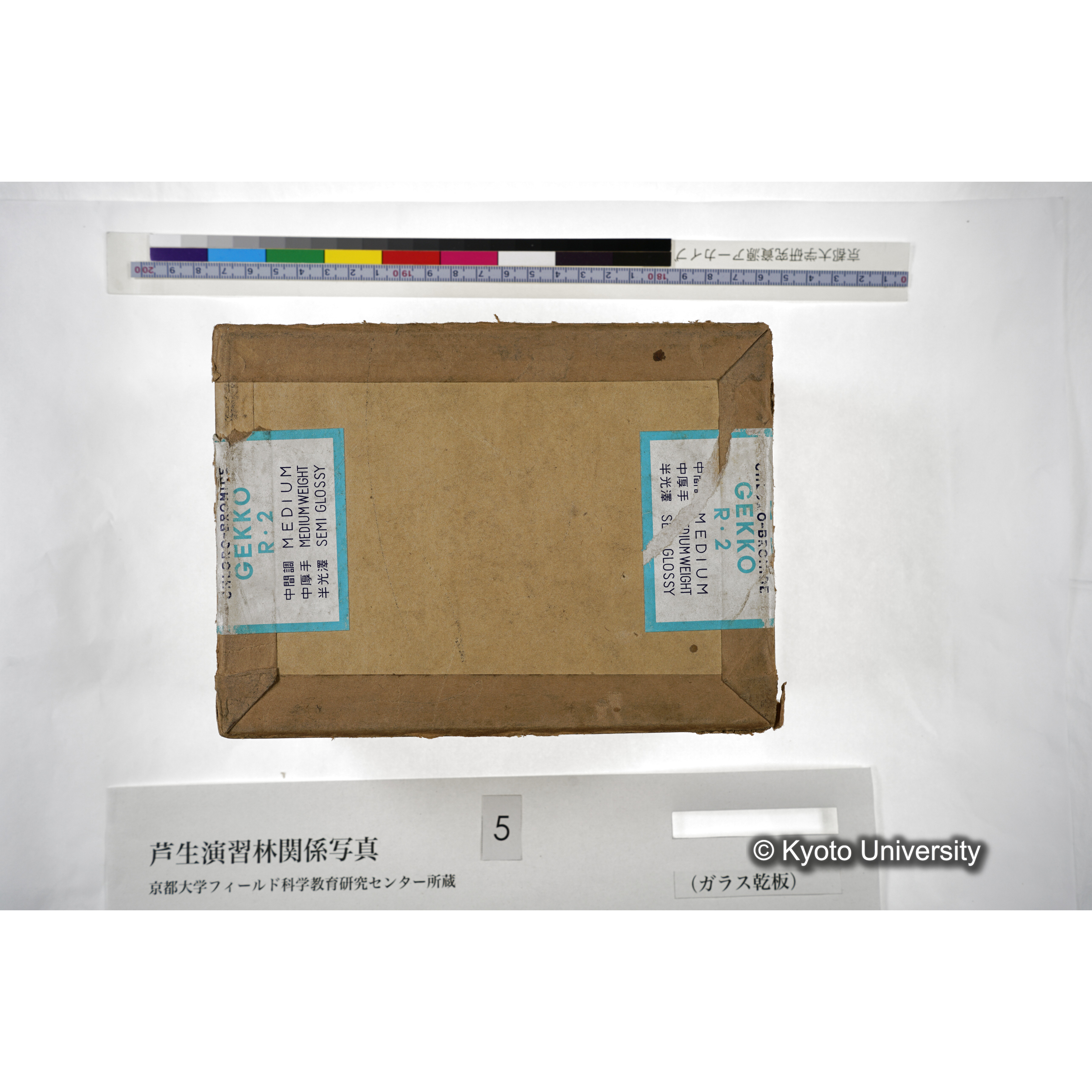 [箱]芦生-柴田3 (37)