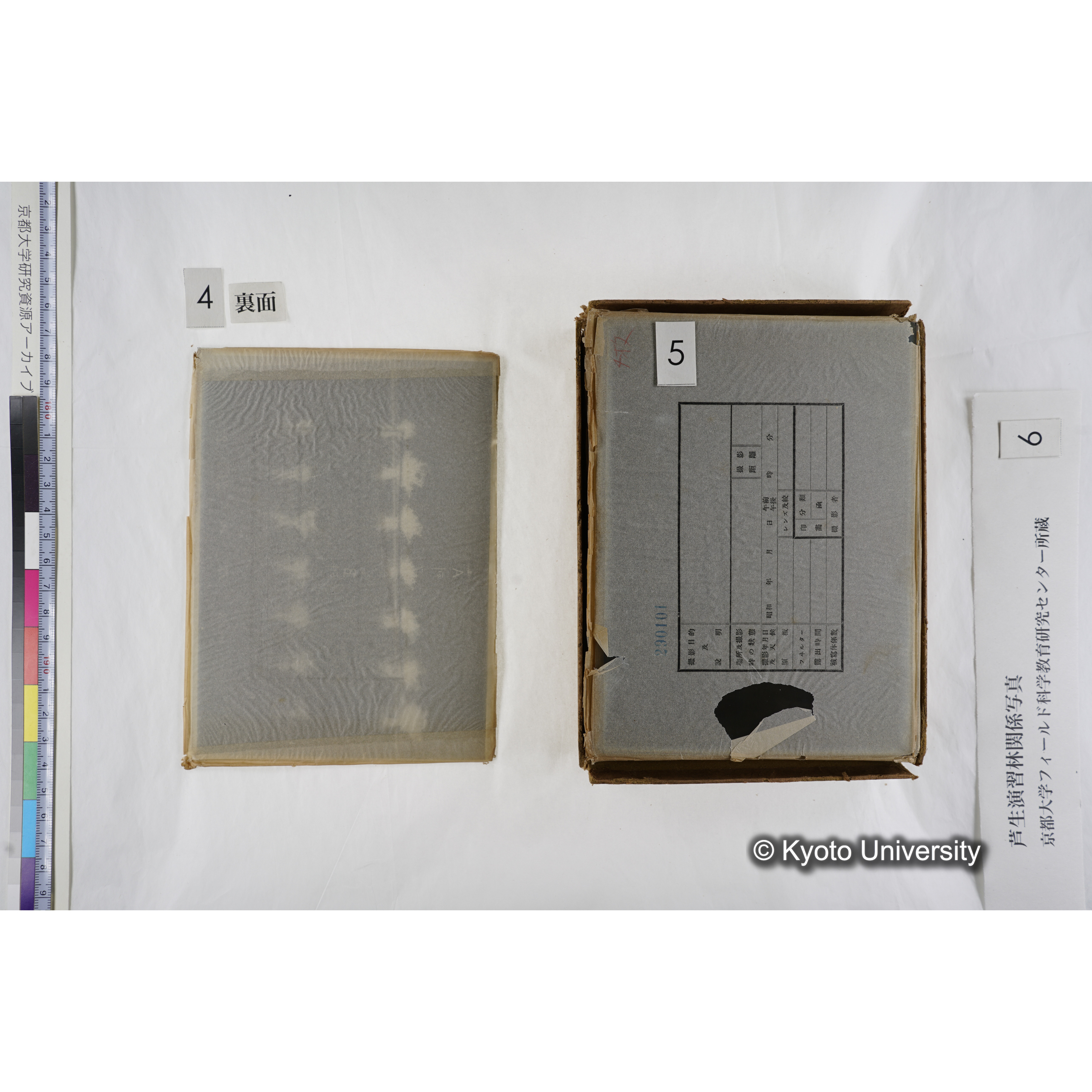 [箱]芦生-柴田4 (8)