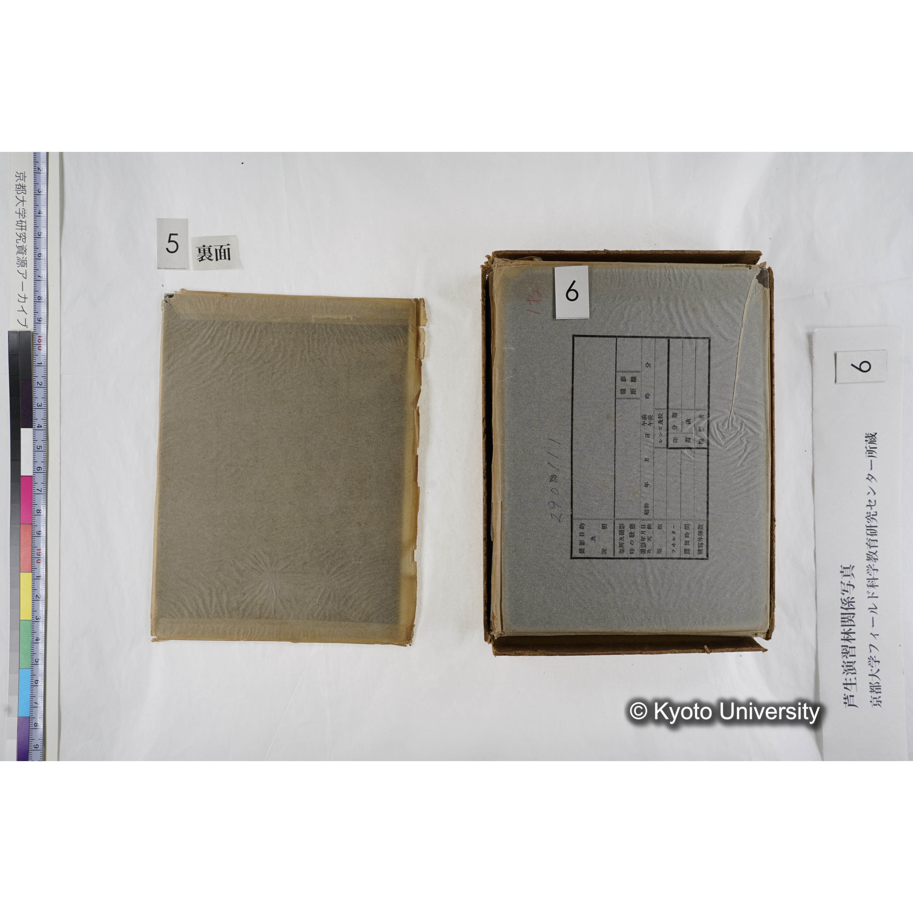 [箱]芦生-柴田4 (9)