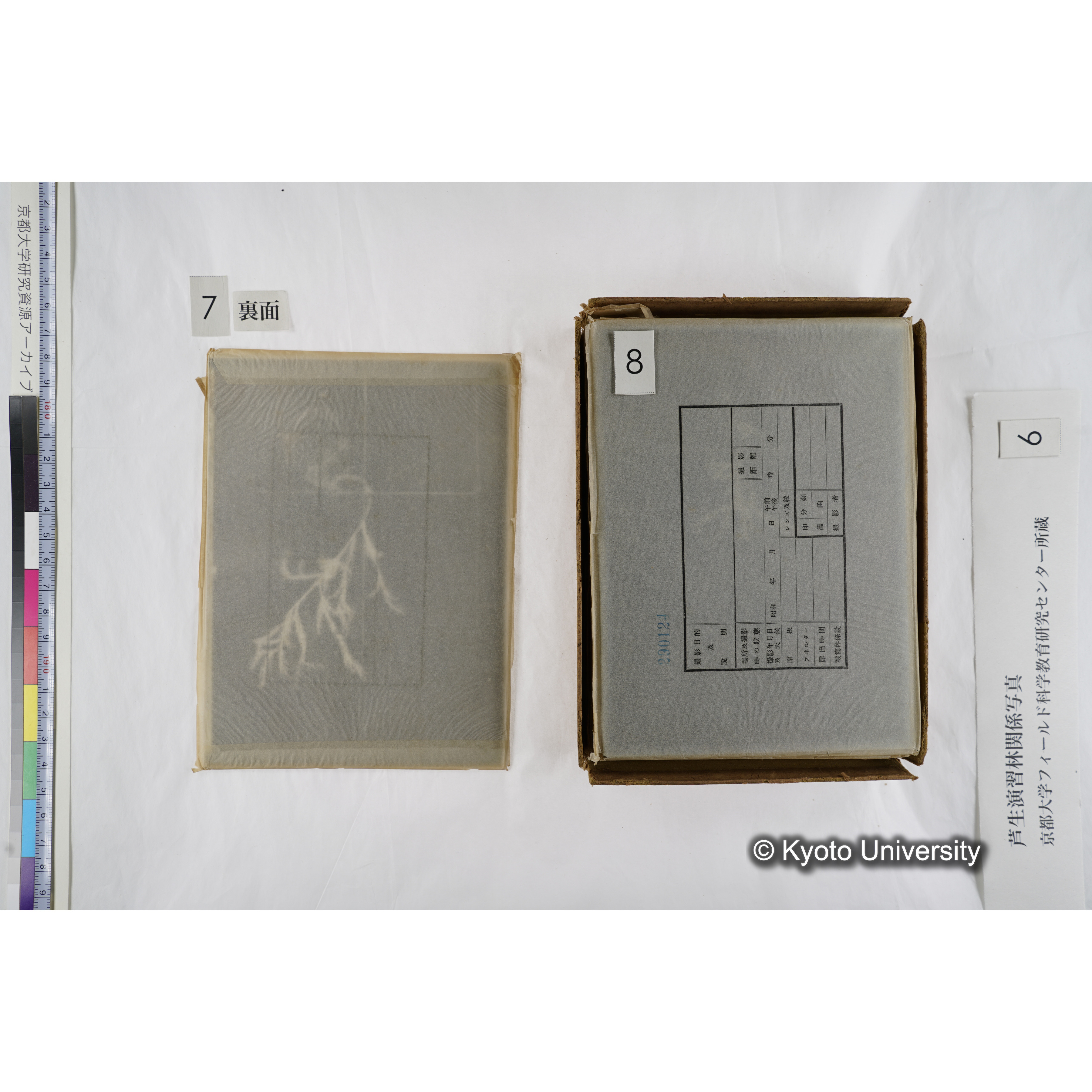 [箱]芦生-柴田4 (11)