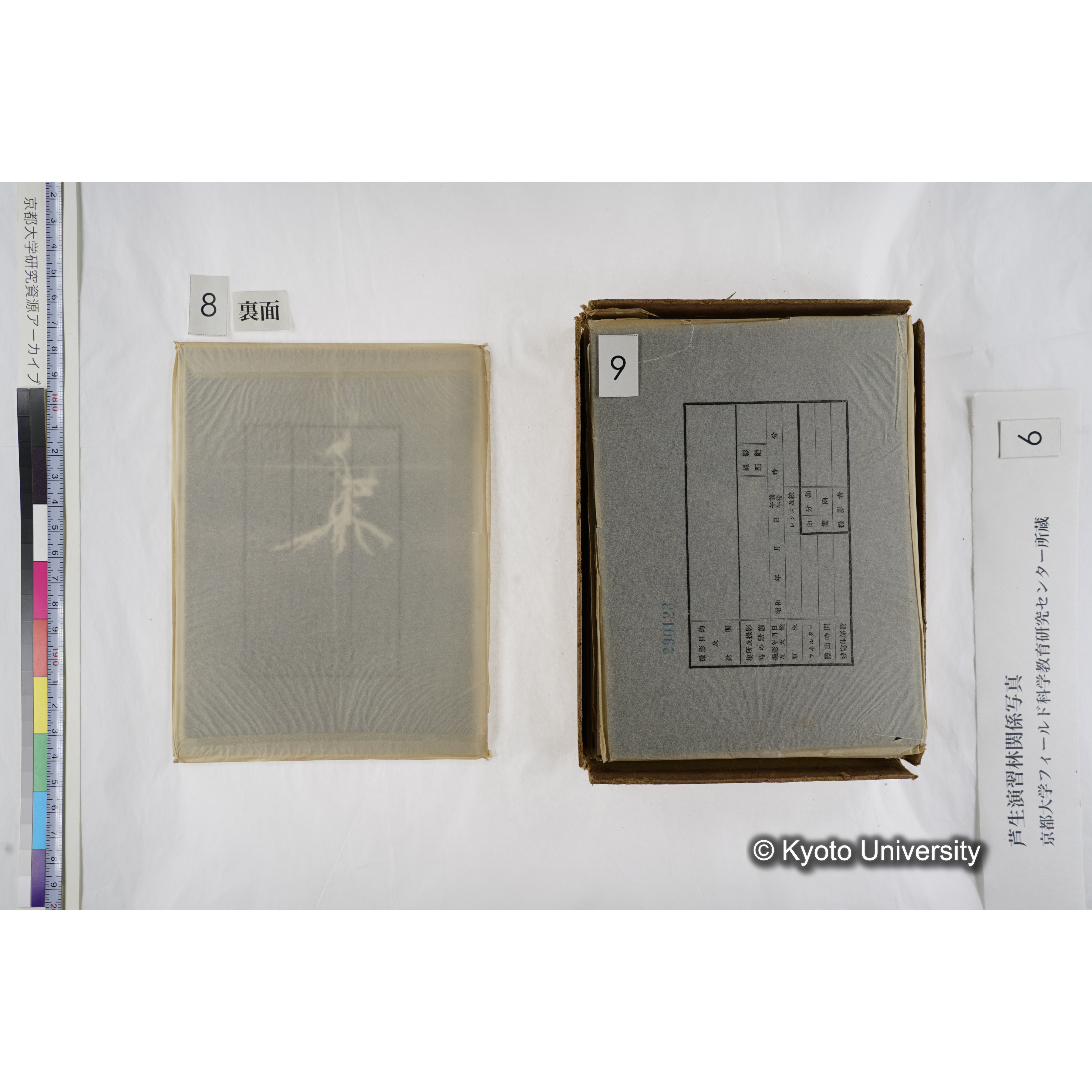 [箱]芦生-柴田4 (12)