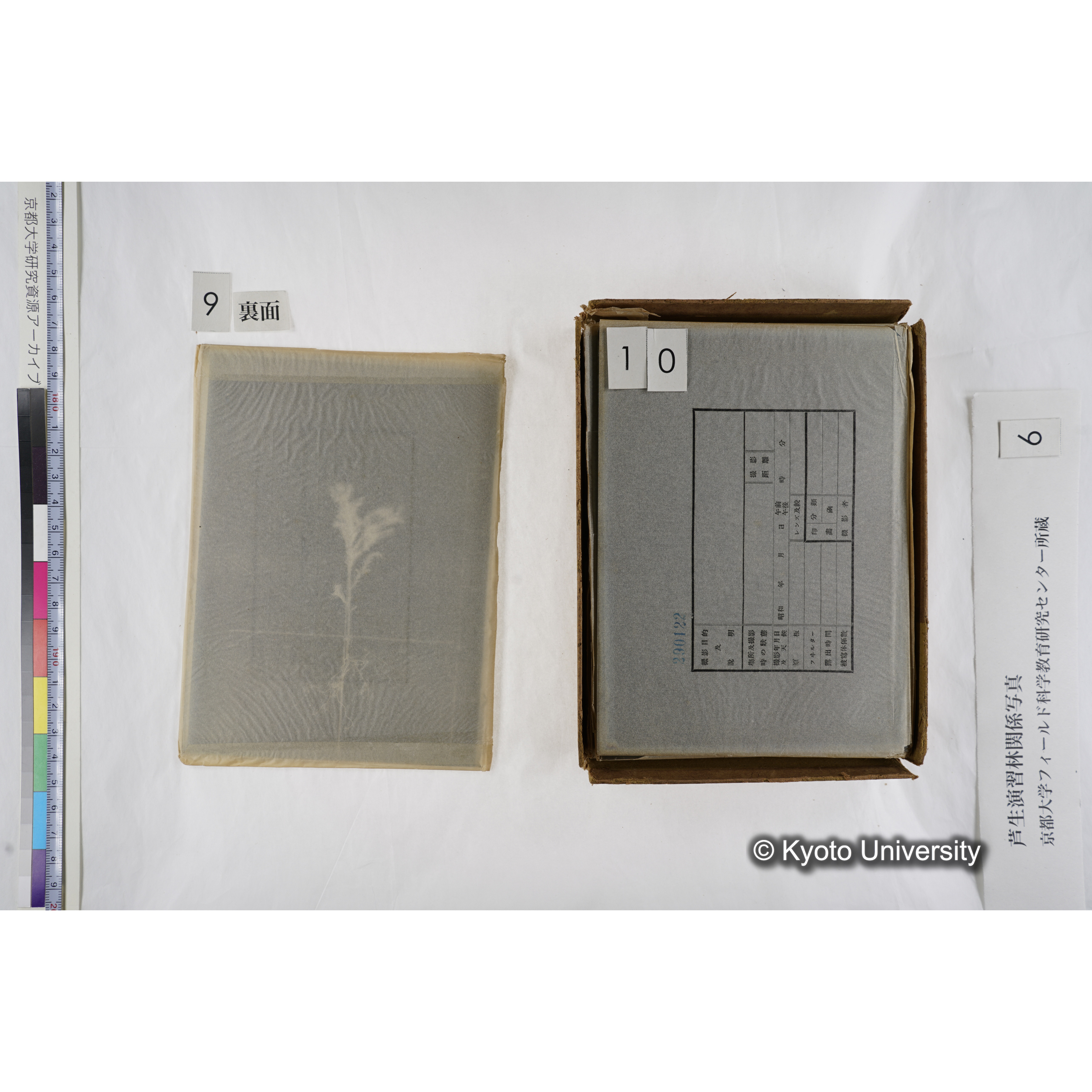 [箱]芦生-柴田4 (13)