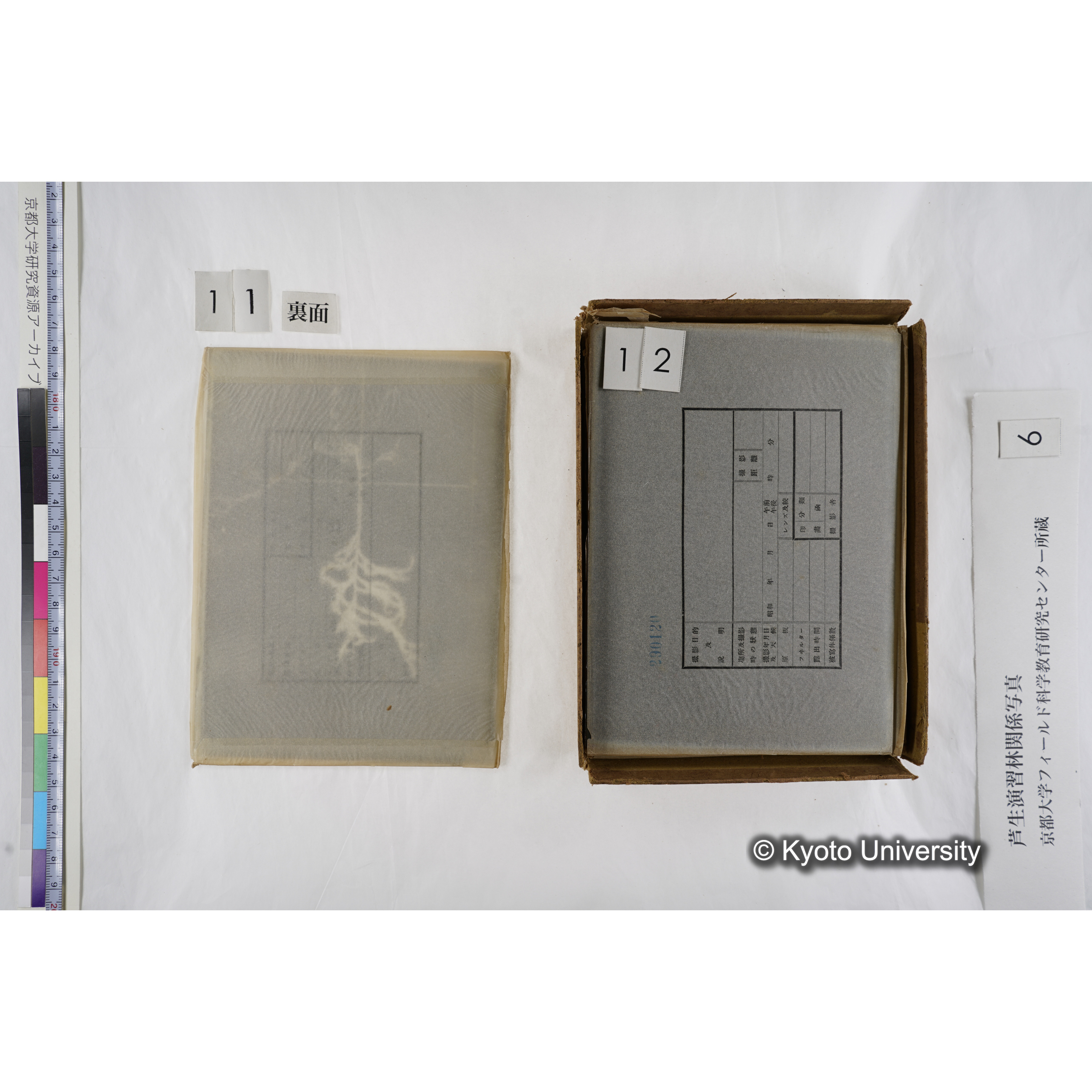 [箱]芦生-柴田4 (15)