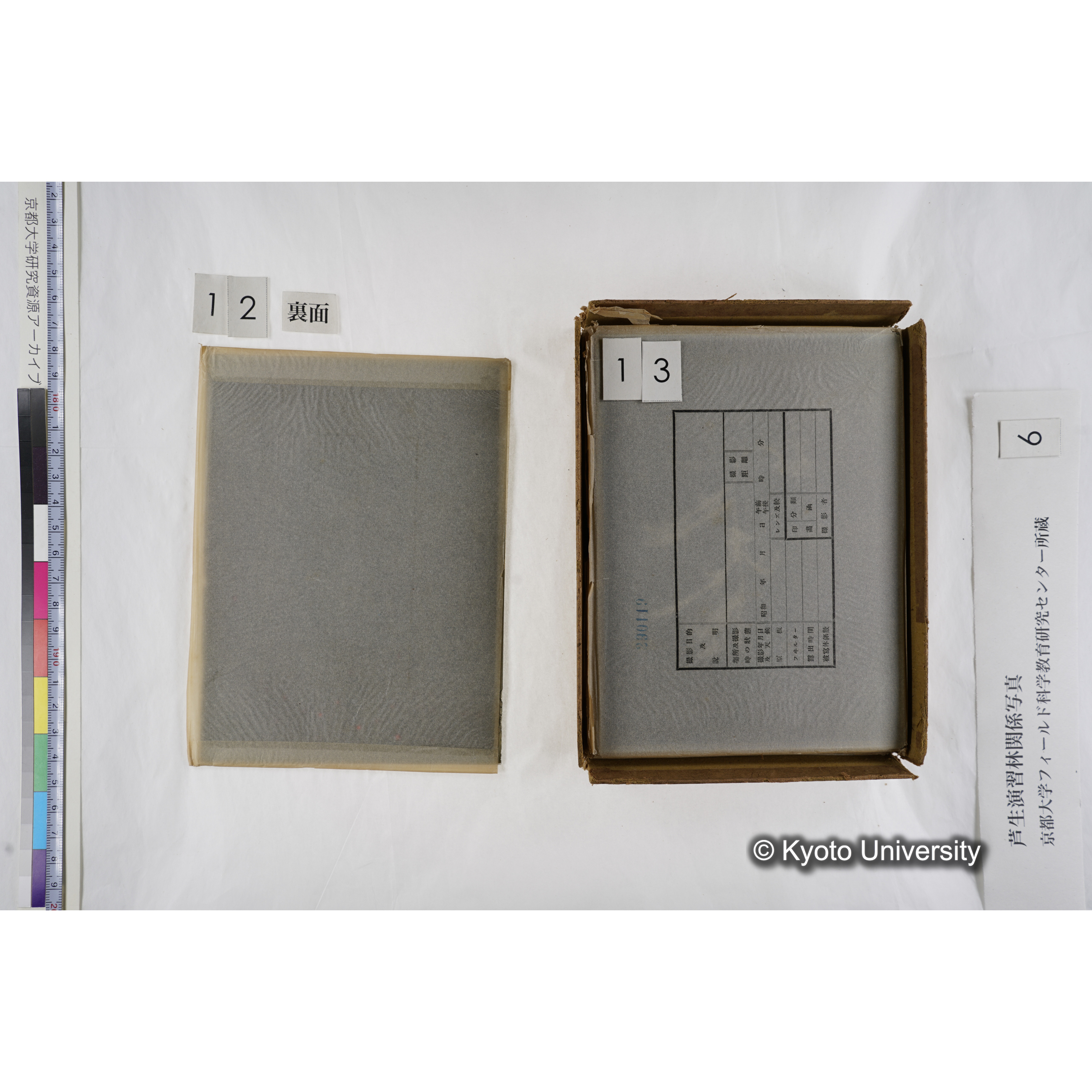 [箱]芦生-柴田4 (16)