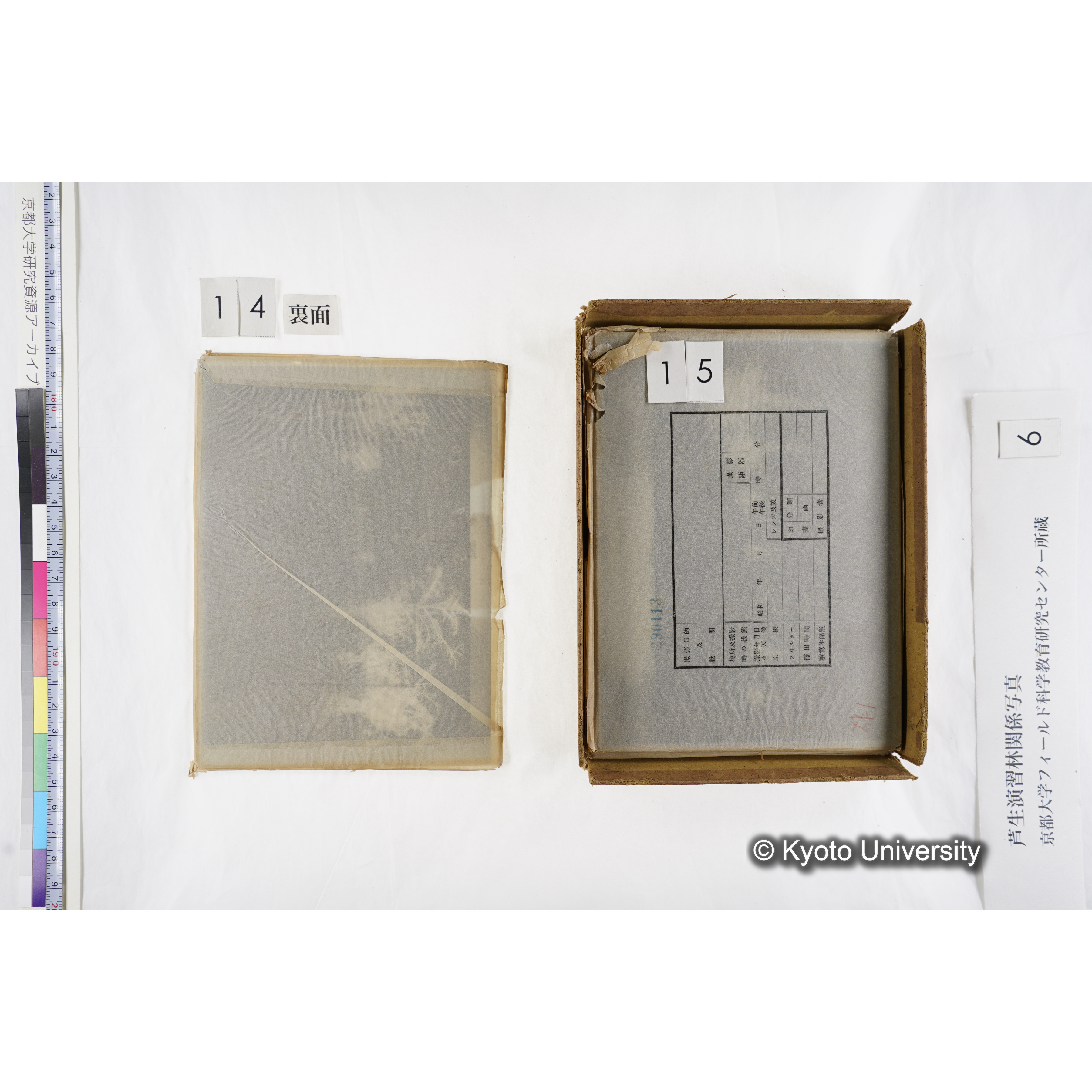 [箱]芦生-柴田4 (18)