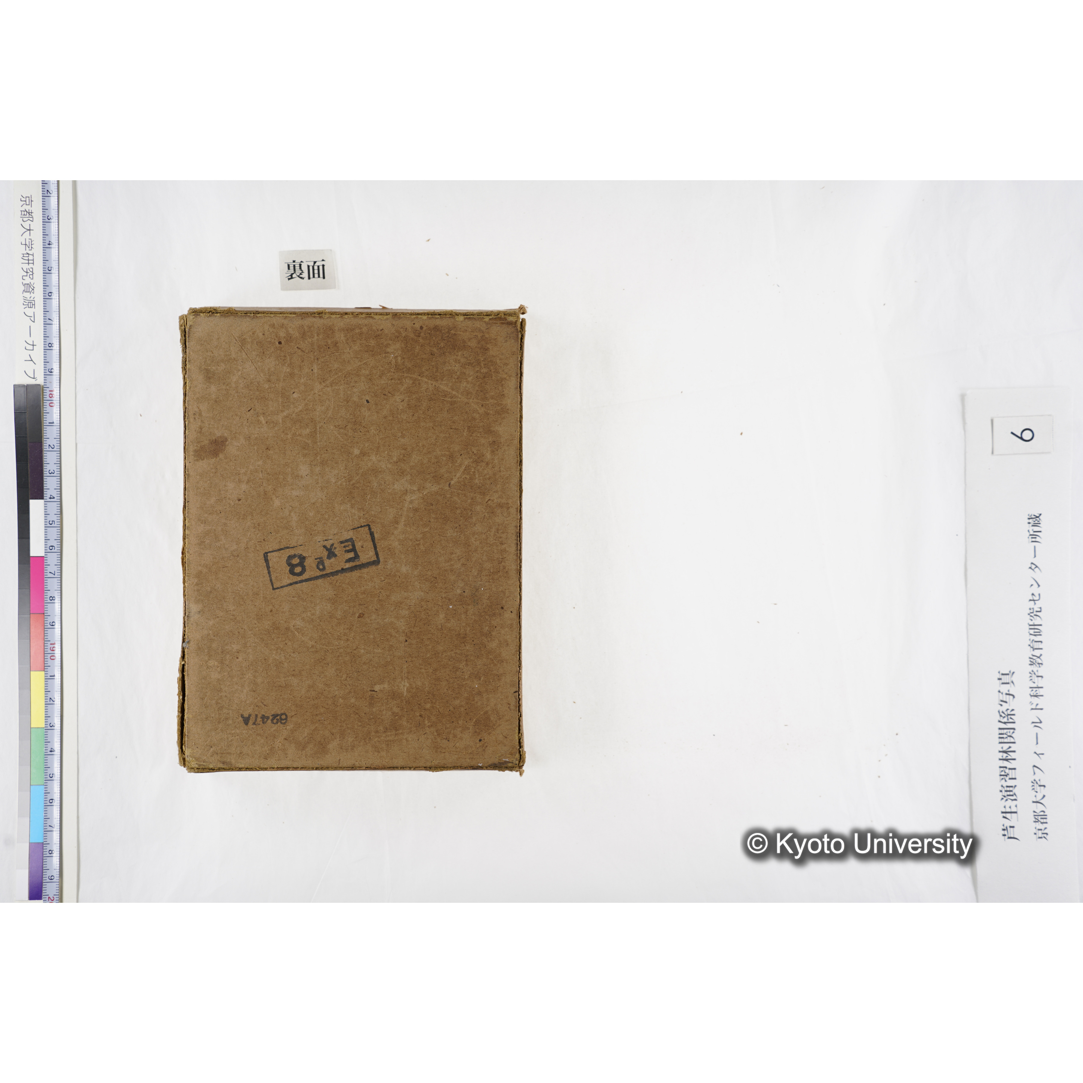 [箱]芦生-柴田4 (27)